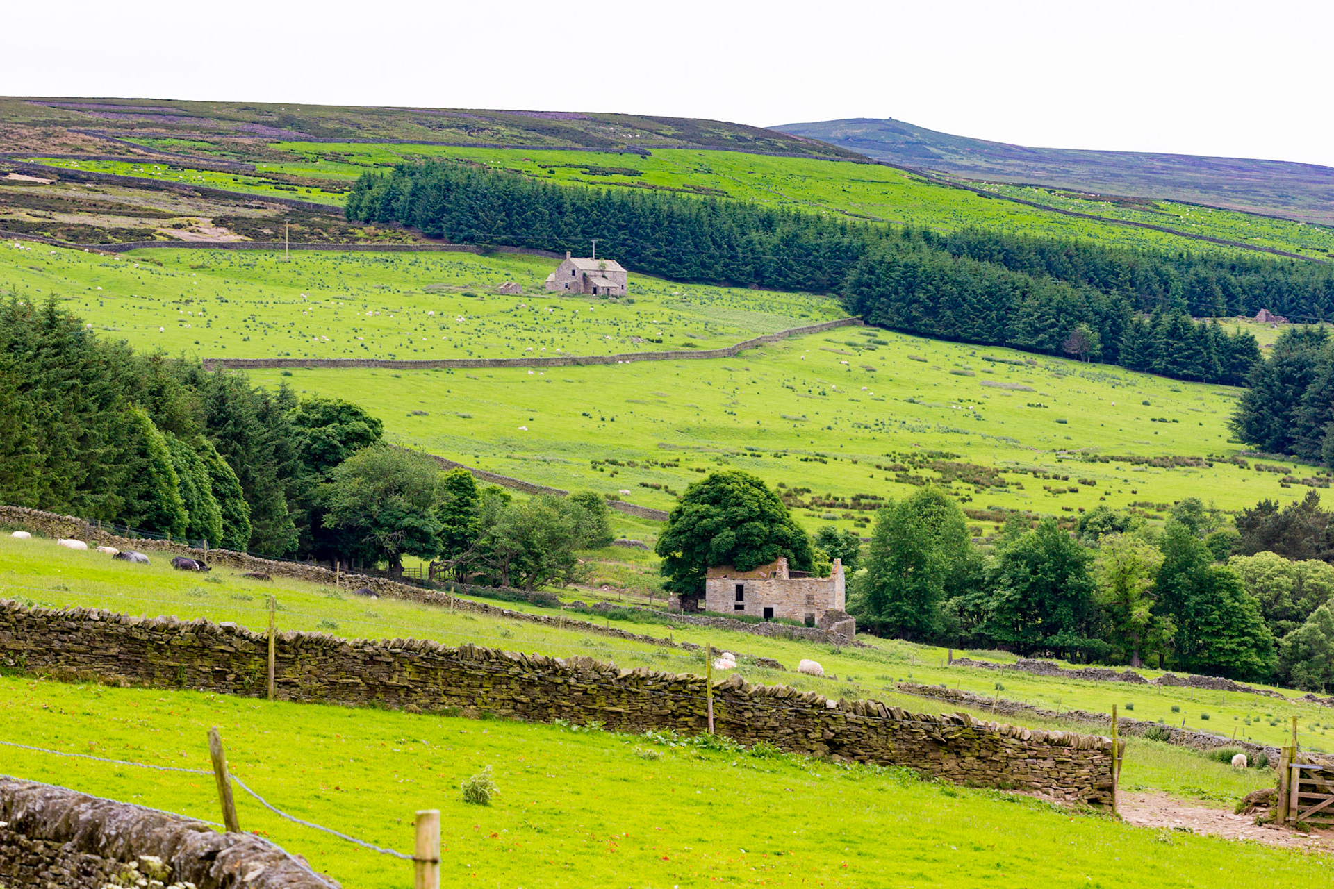 Stanhope MoorPlease see my other Photographs at: www.jamespdeans.co.uk