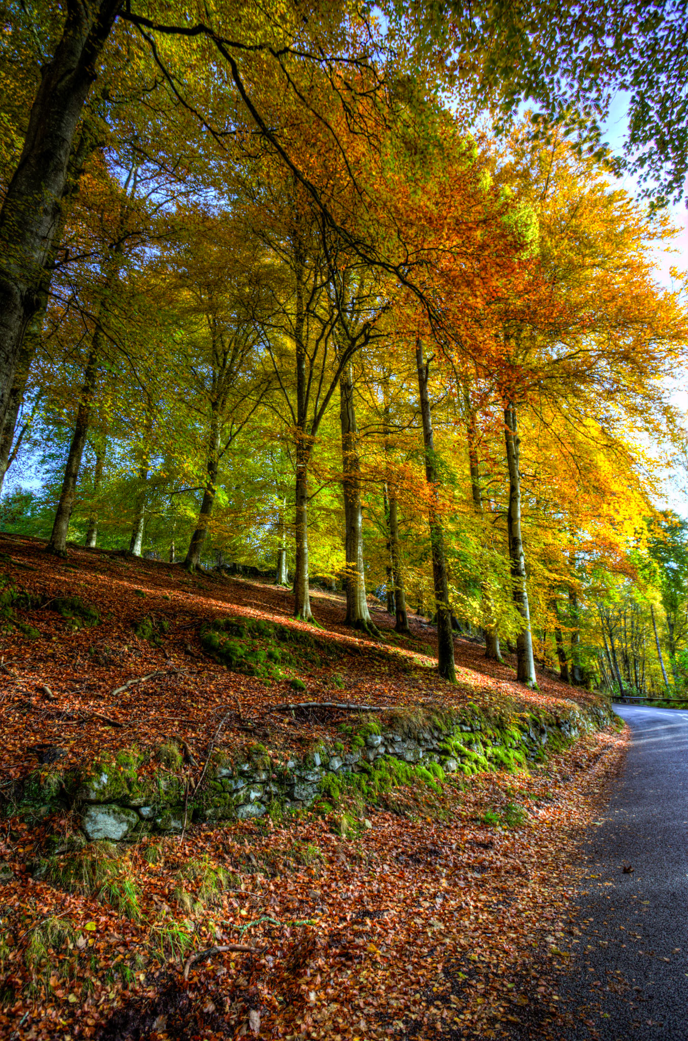 Dunkeld. Autumnal Tour around Perthshire 19 October 2024