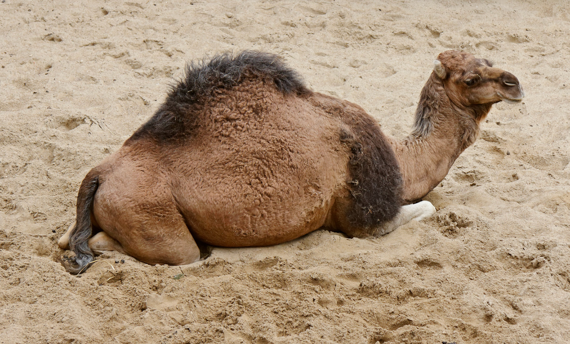 AntwerpPlease see my other Photographs at: http://www.jamespdeans.co.uk/