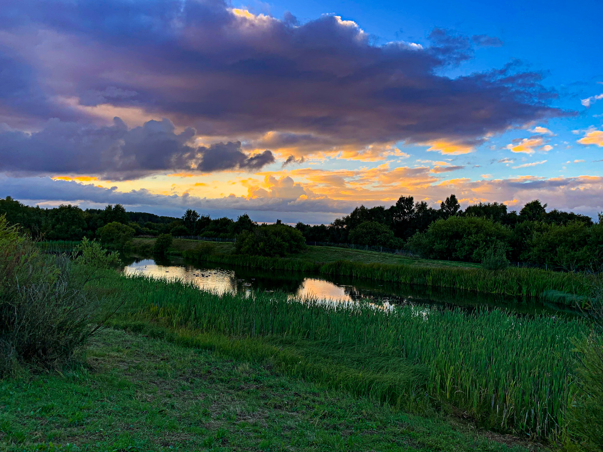 Wester Inch Ponds, Bathgate