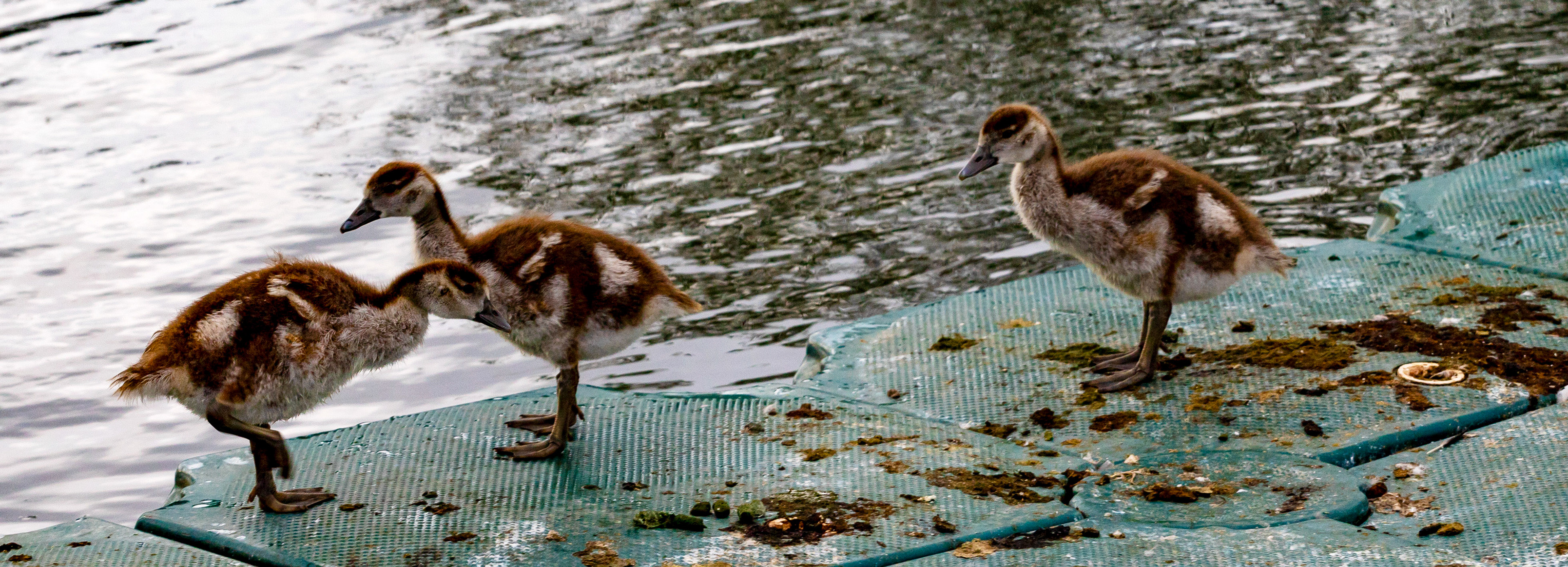 Reading 07 June 2024