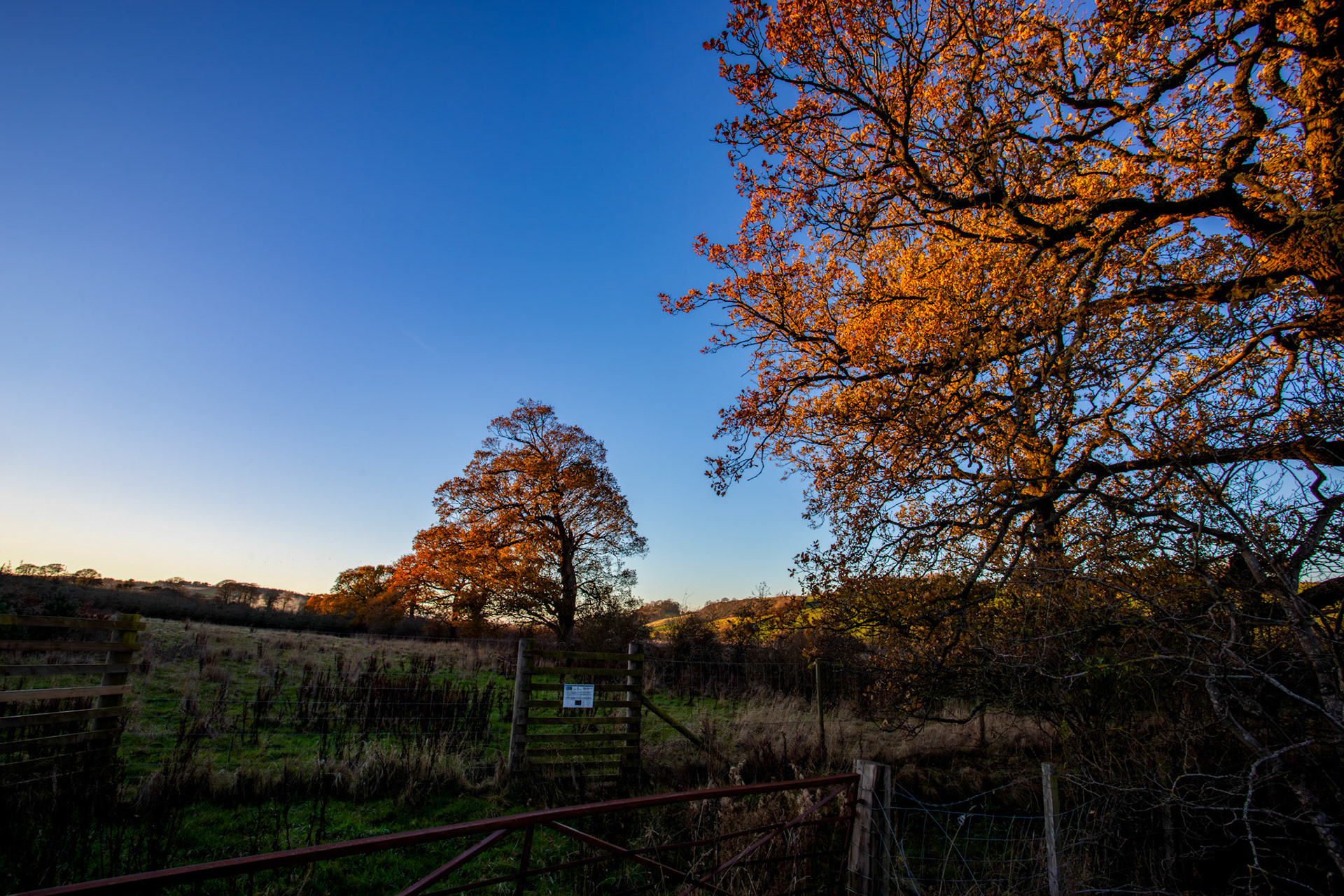 Kingscavil 30 November 2025