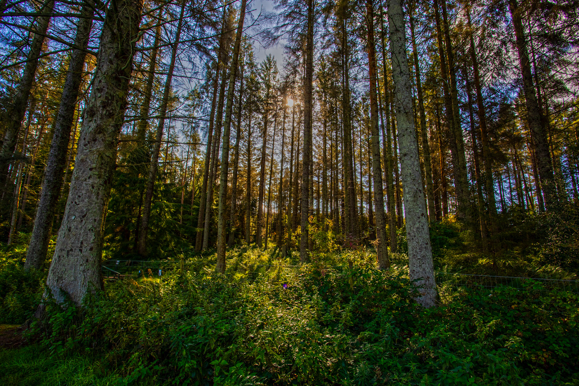 Beecraigs 24 Sept 2025