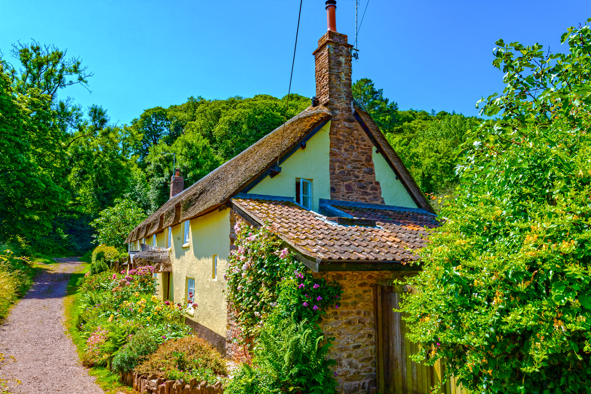 Dunster 22 June 2023