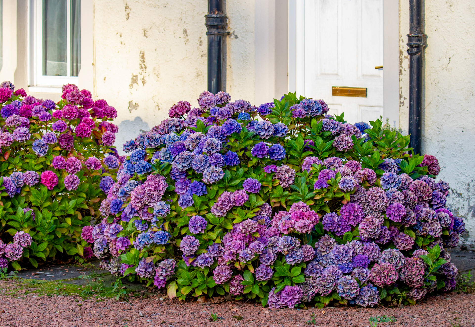 Polkemmet Country Park 10 October 2024