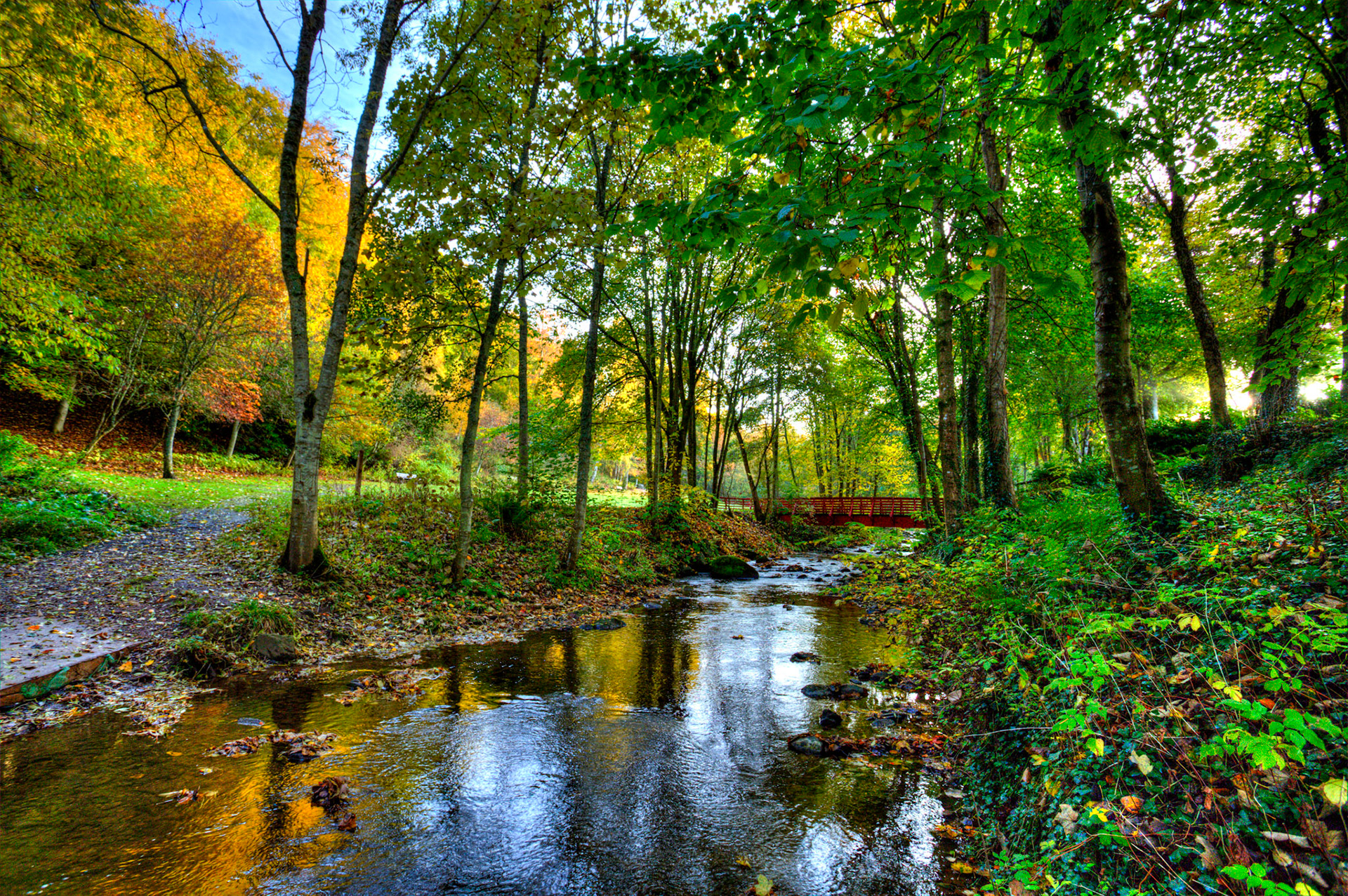 Quarrymill, Perth. Autumnal Tour around Perthshire 19 October 2024