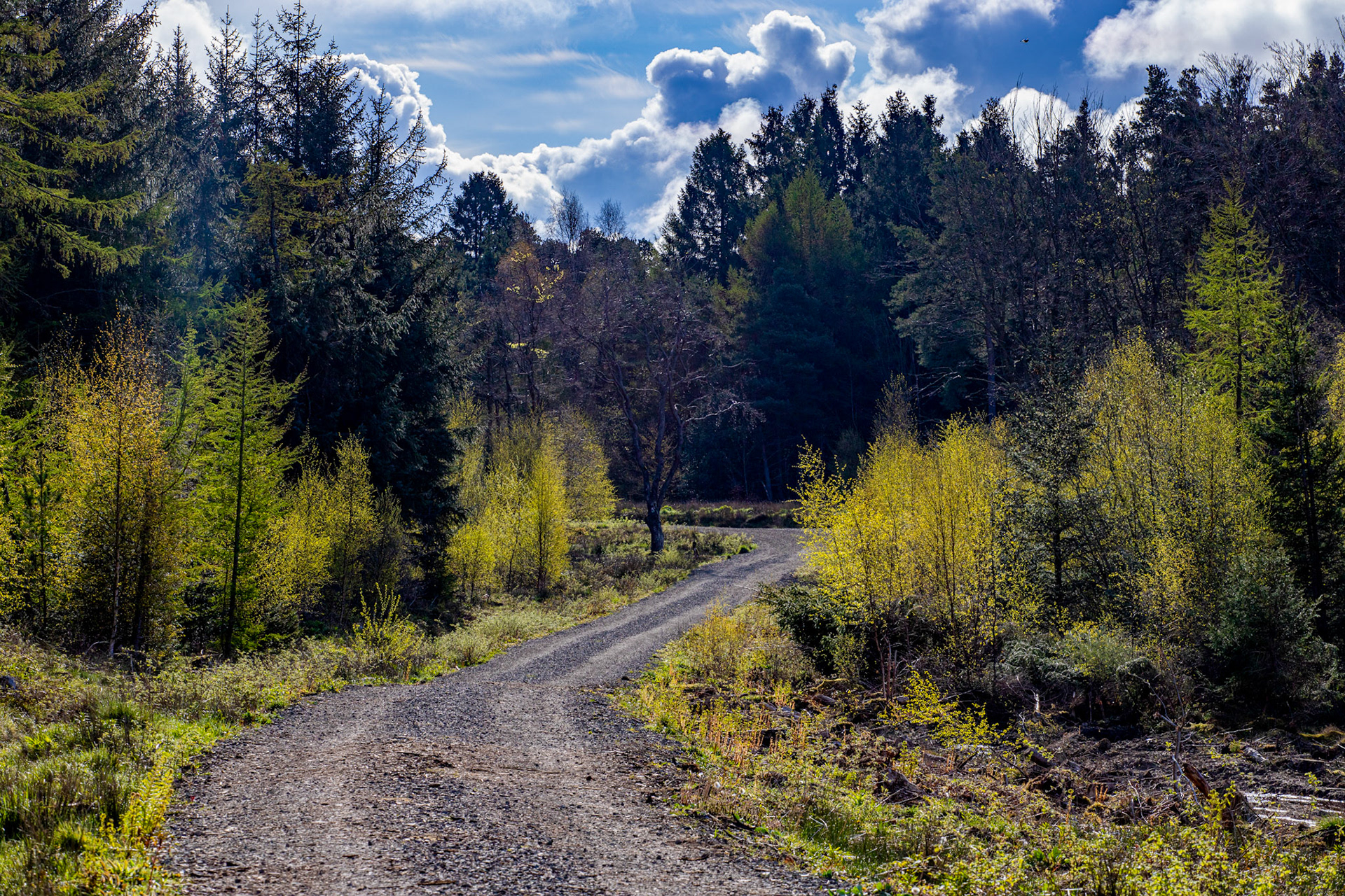 Selm Muir 26 April 2024