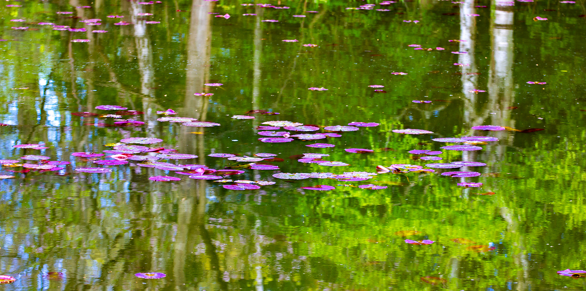 Gosford Estate 27 April 2024