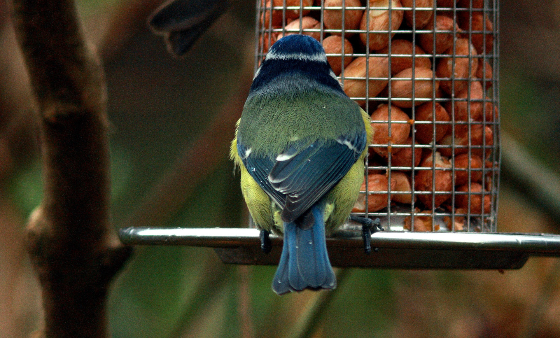 Deans, LivingstonPlease see my other Photographs at: http://www.jamespdeans.co.uk/