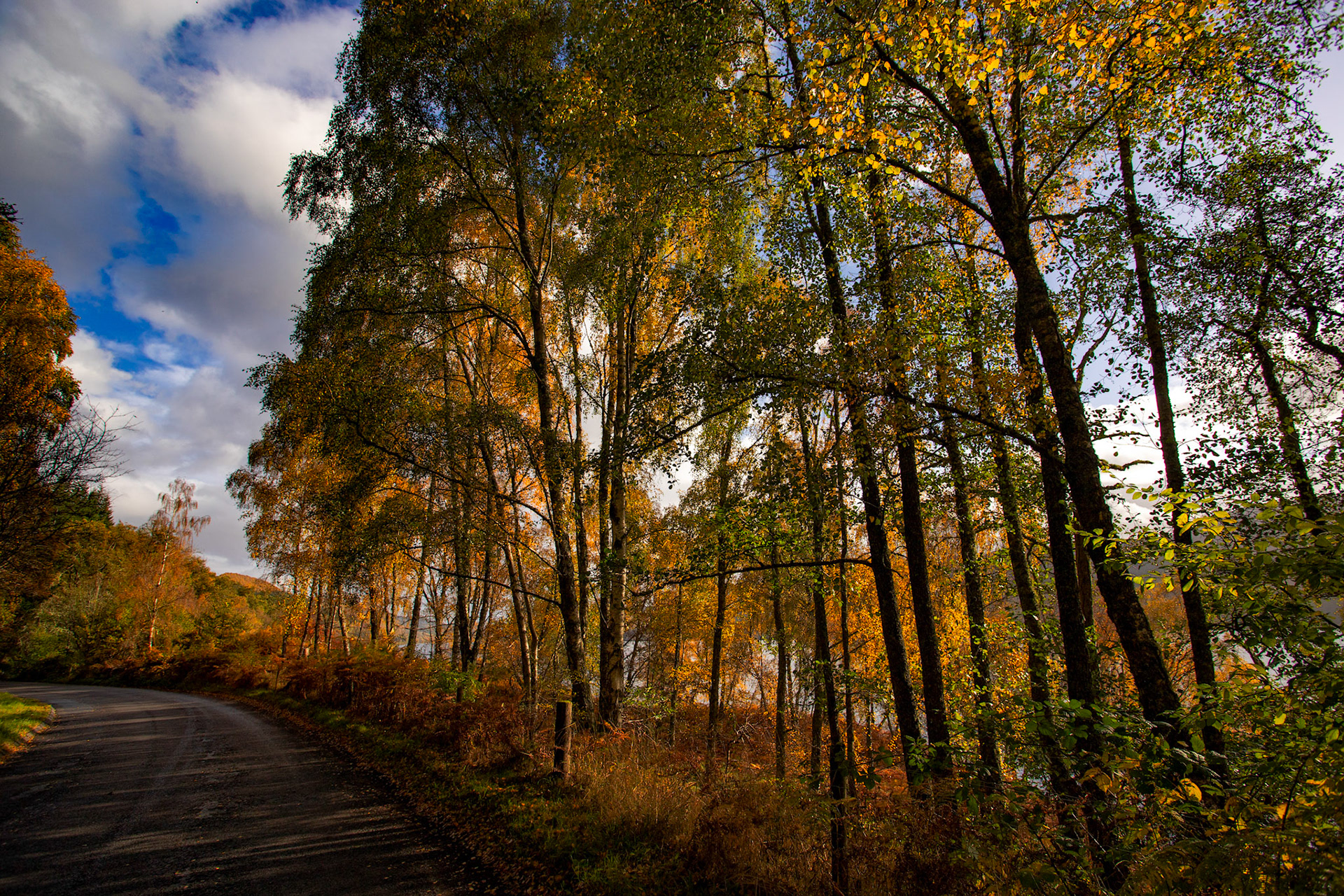 Loch Tummel. Autumnal Tour around Perthshire 19 October 2024
