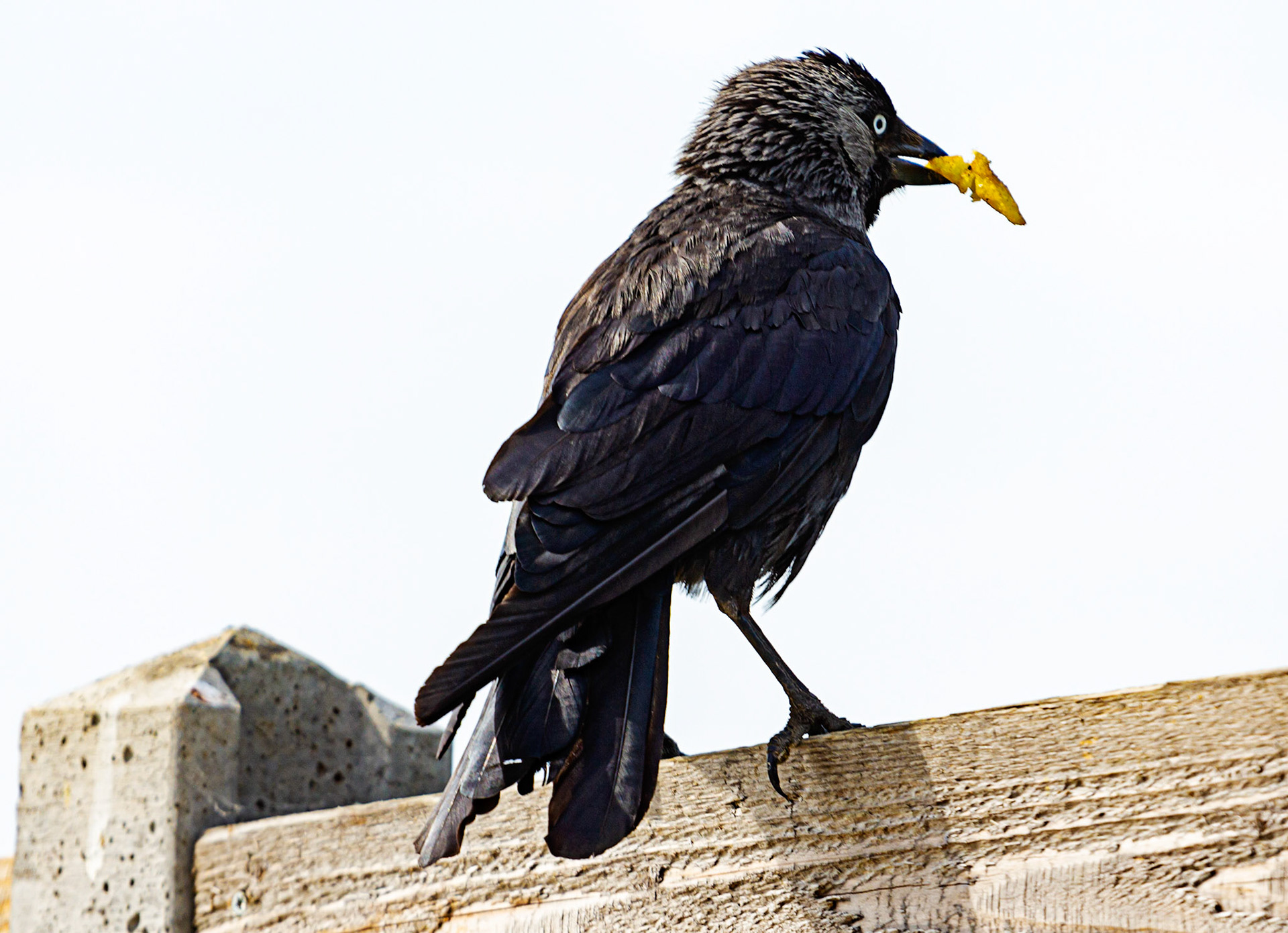 Bembridge IOW 17 July 2022