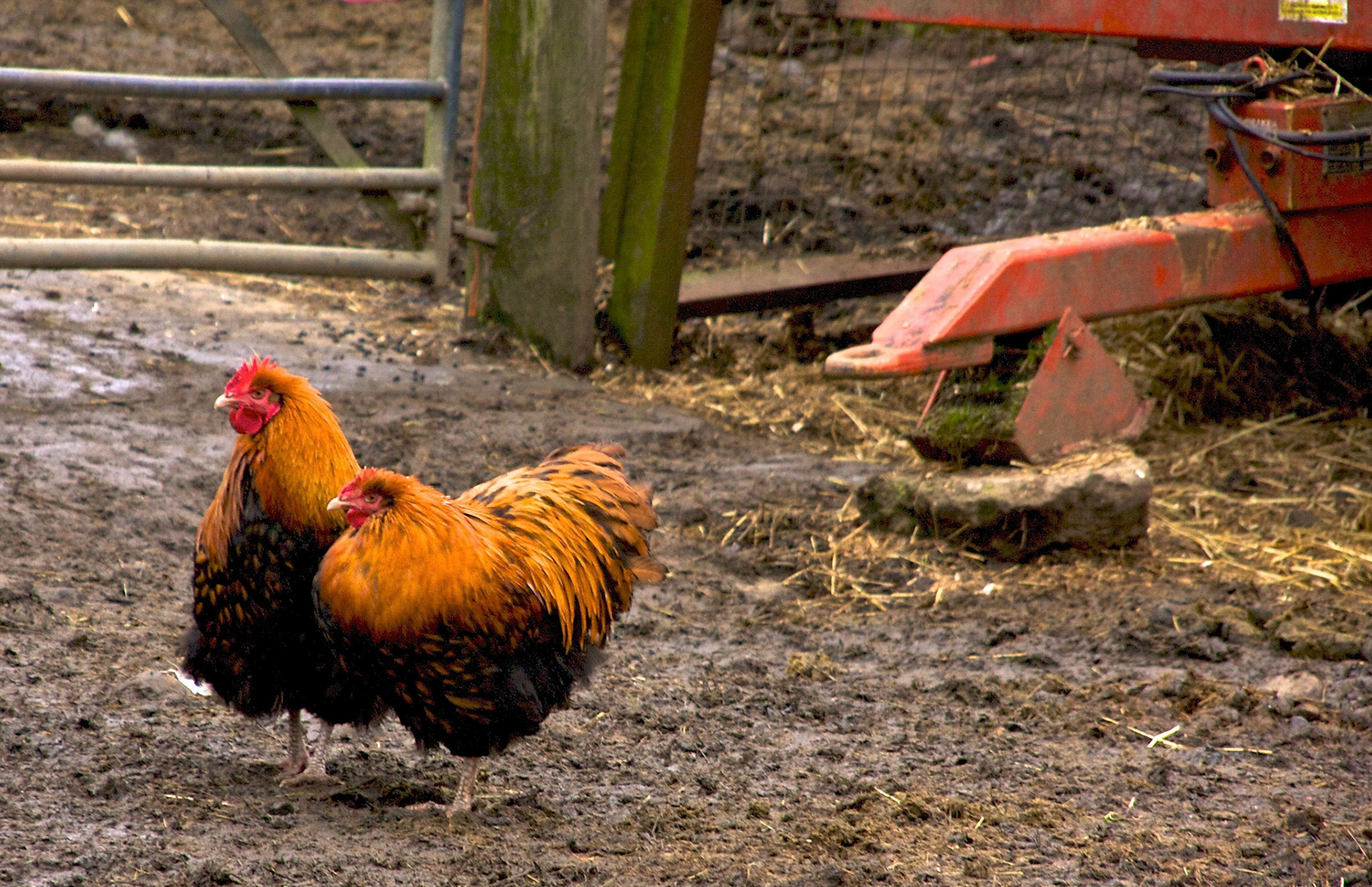 Almond Valley Heritage Centre Please see my other Photographs at: http://www.jamespdeans.co.uk/