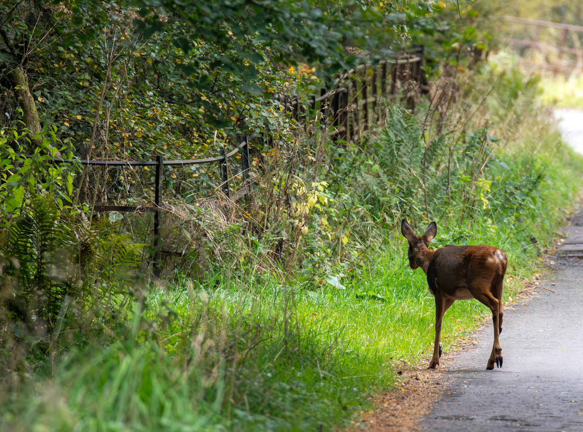 Bavelaw 24 Sept 2025