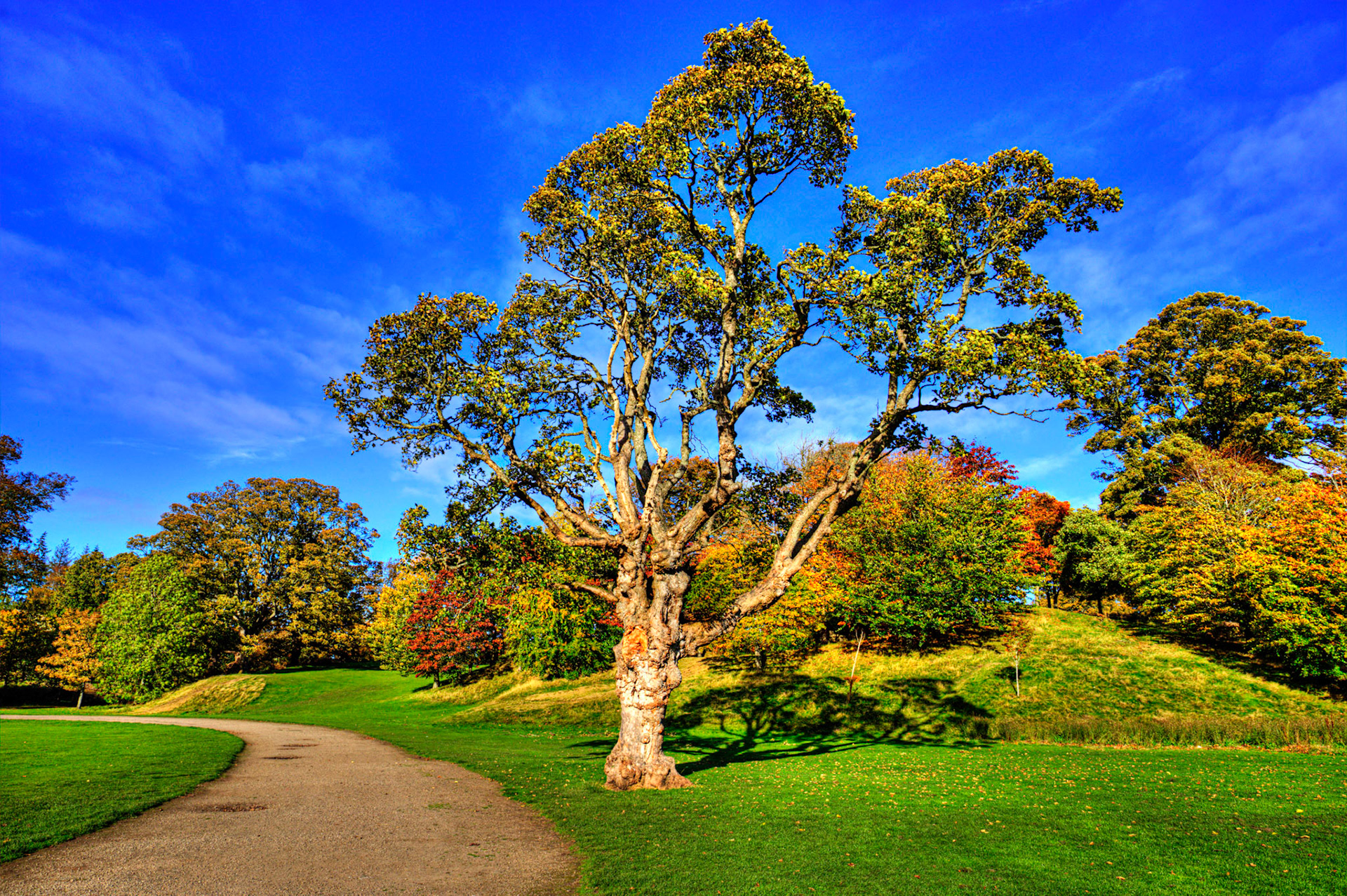 Callendar Park, Falkirk 11 October 2025