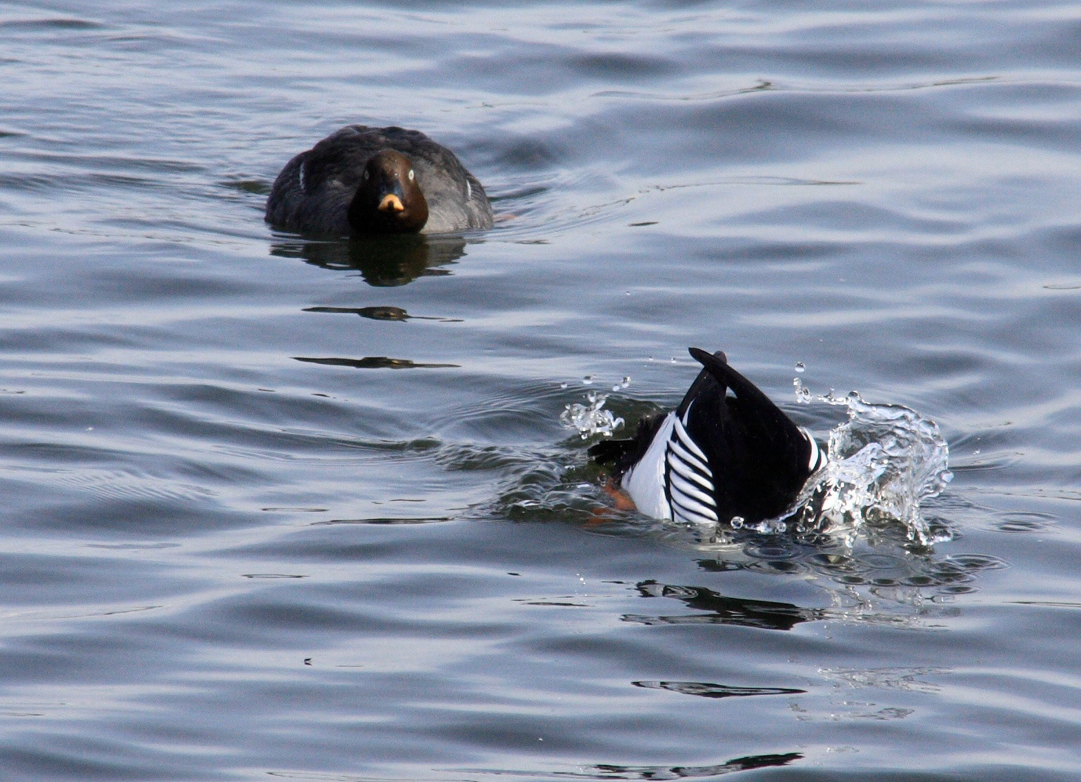 Hugganfield Loch Please see my other Photographs at: http://www.jamespdeans.co.uk/