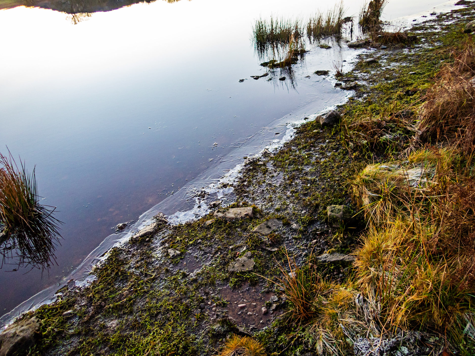 Harperrig 18 December 2021