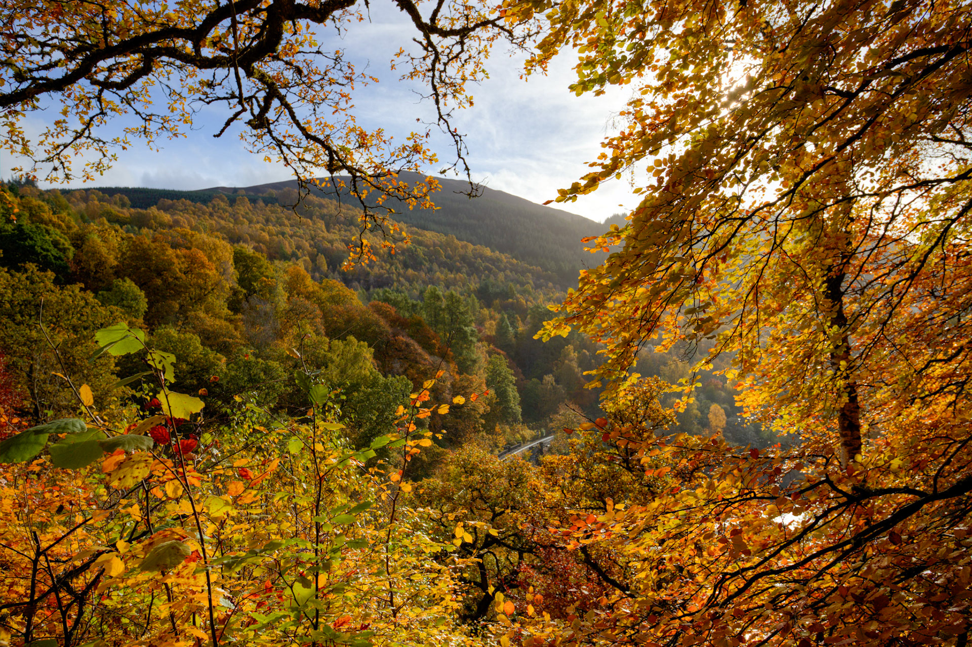 Killiecrankie. Autumnal Tour around Perthshire 19 October 2024