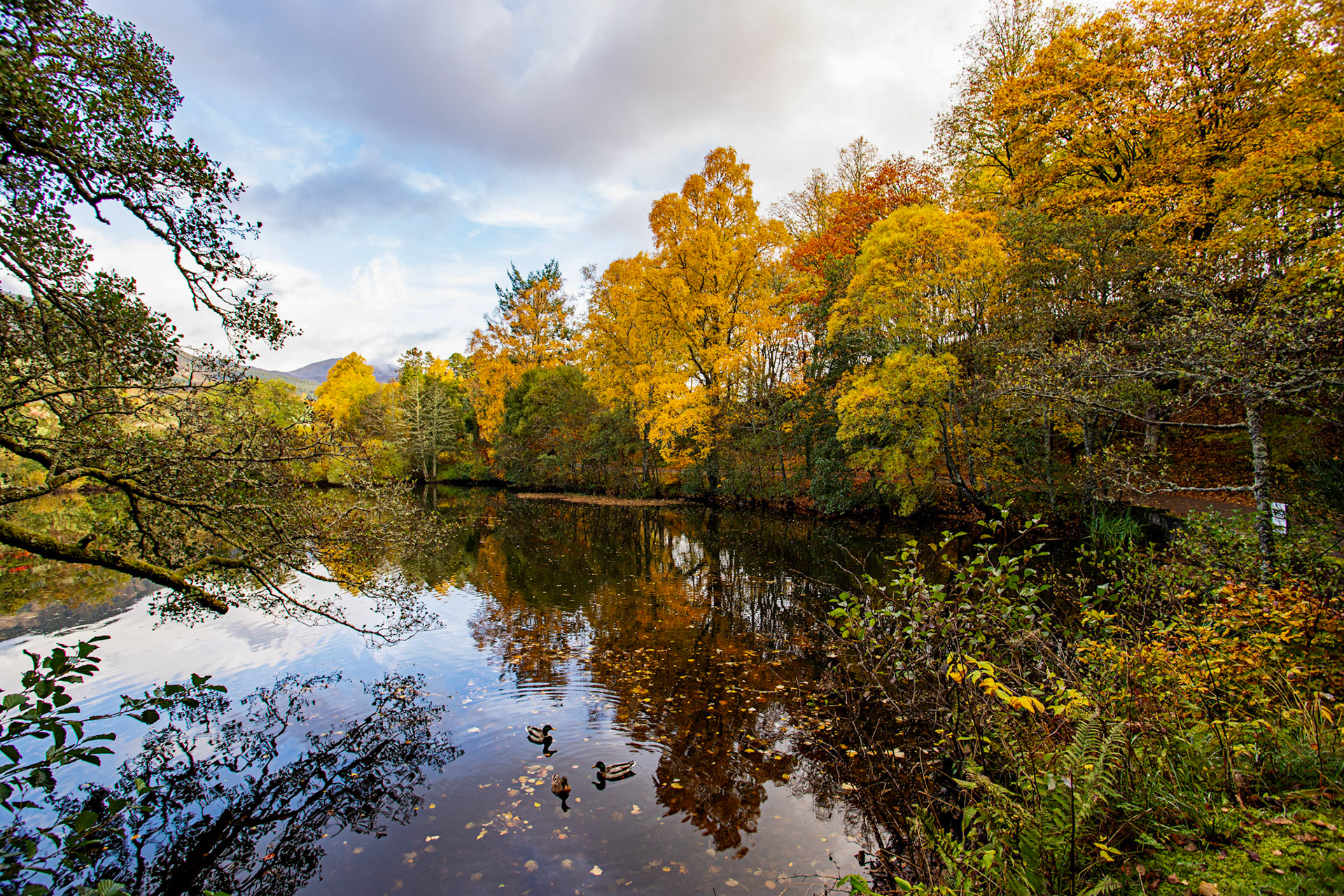 The Cuilc, Pitlochry. Autumnal Tour around Perthshire 19 October 2024