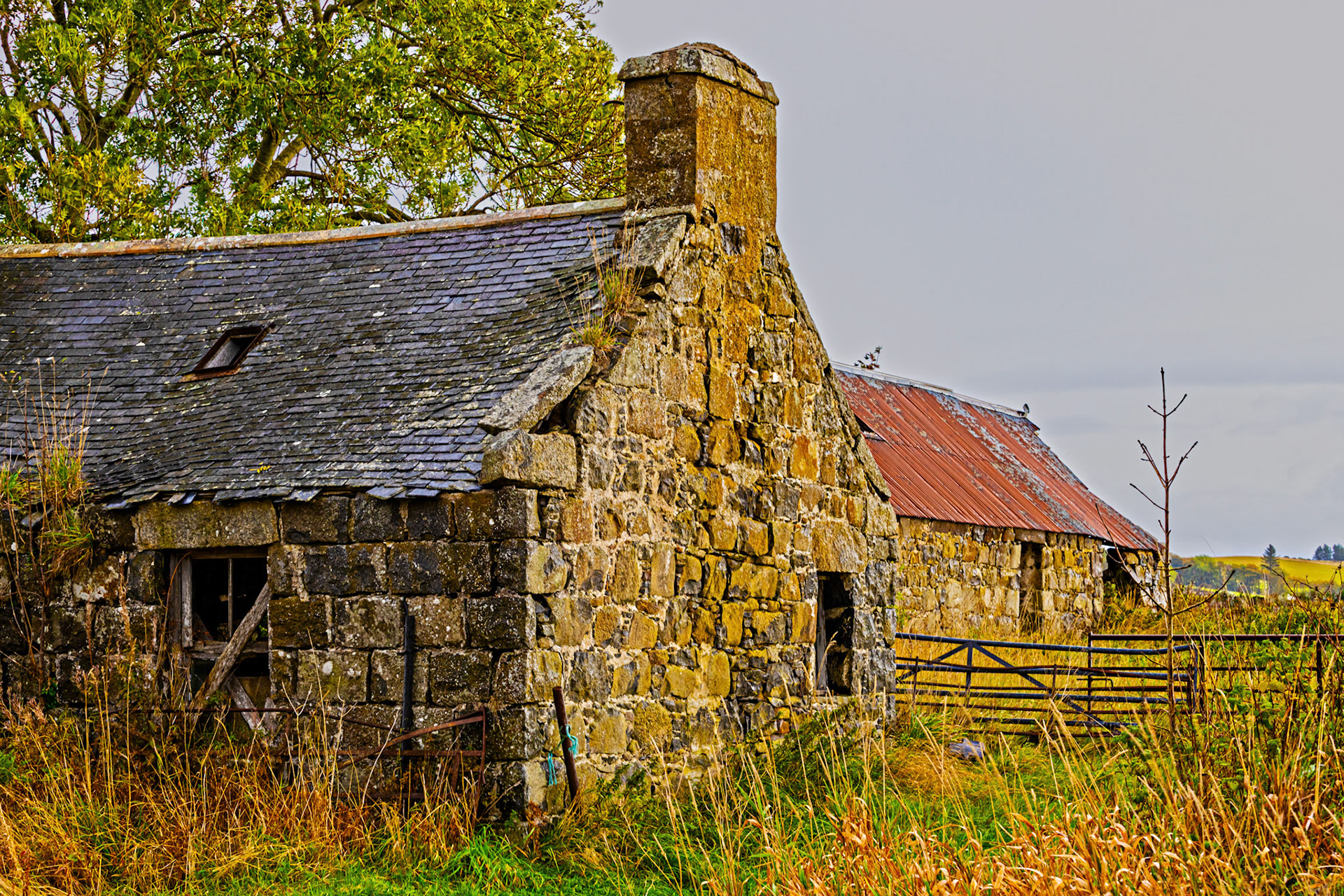 Autumn in Aberdeenshire 14 to 16 October 2022