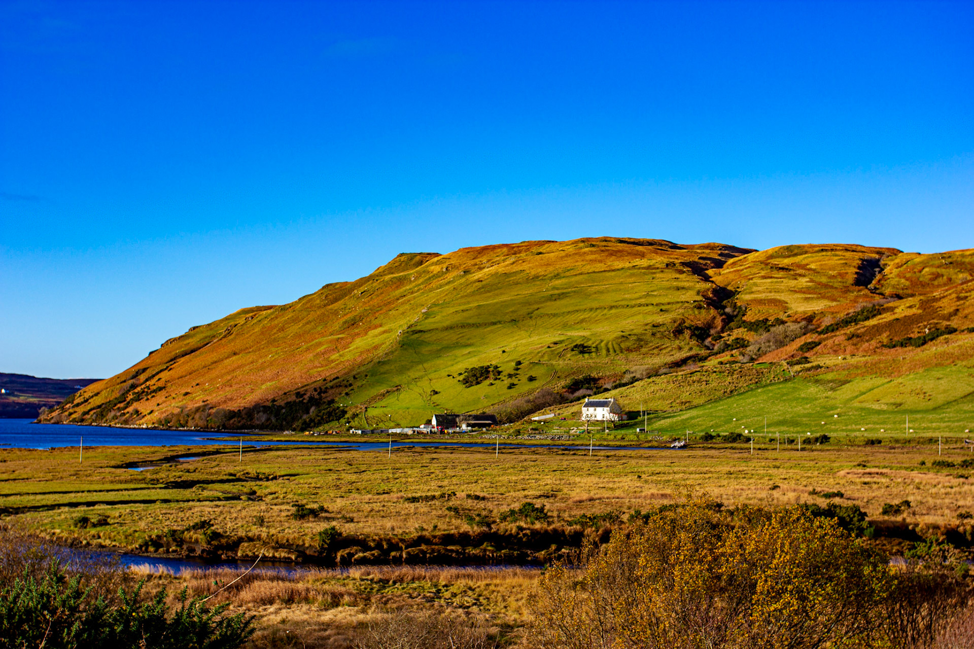 Skye 14 November 2025