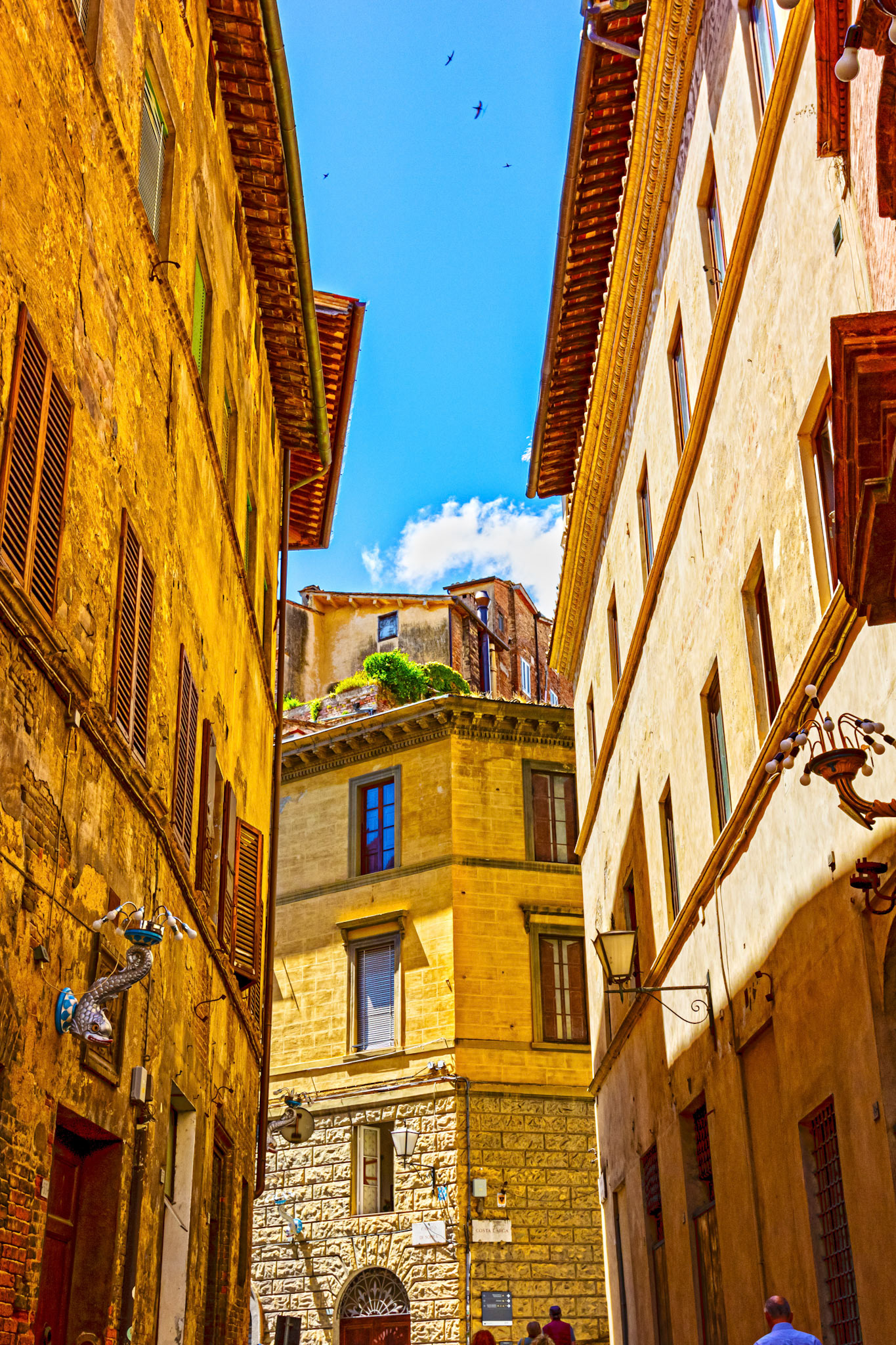 Street scene in Siena 26 June 2024