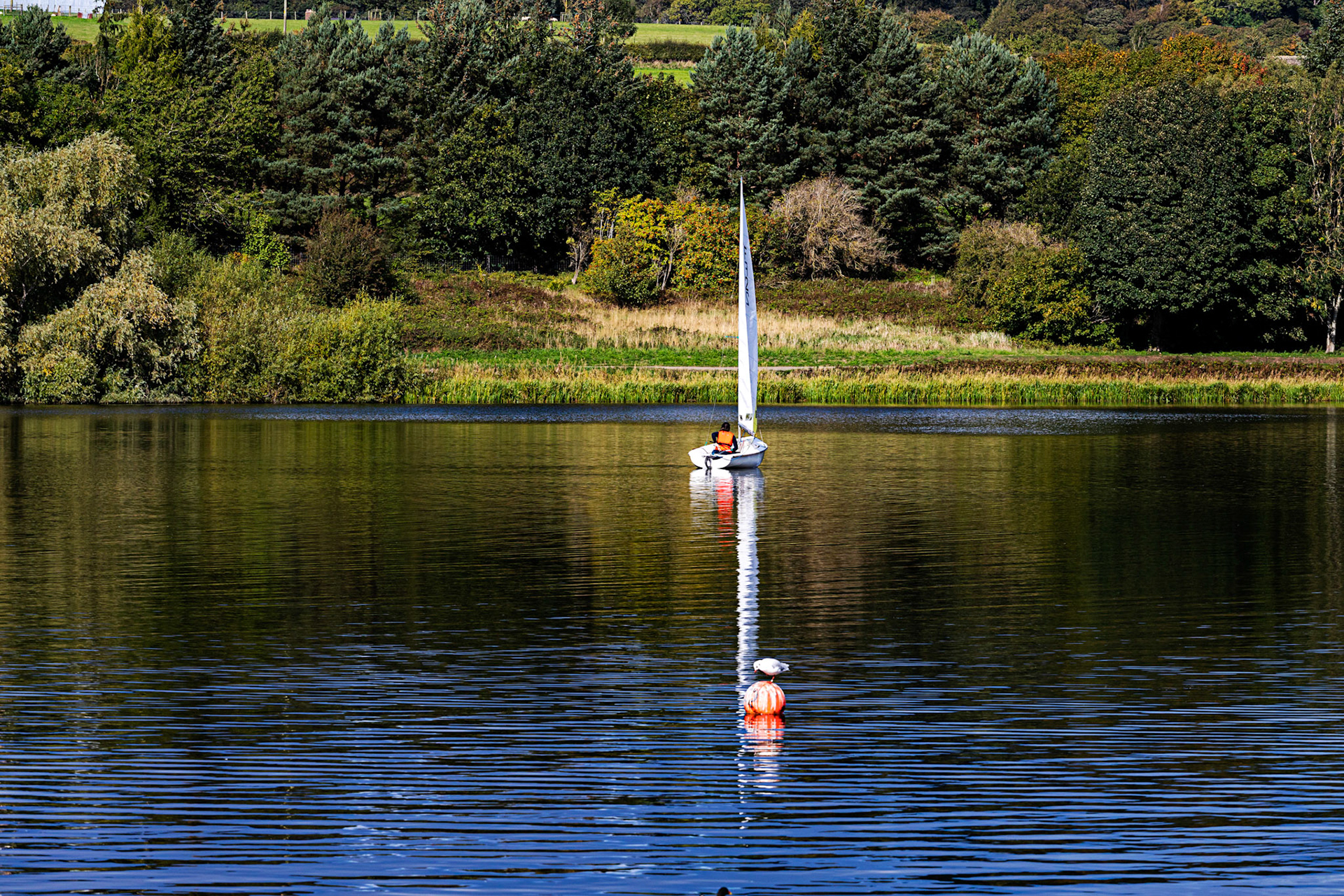 Sailing on Linlithgow Loch, with Reflections - 24 September 2022