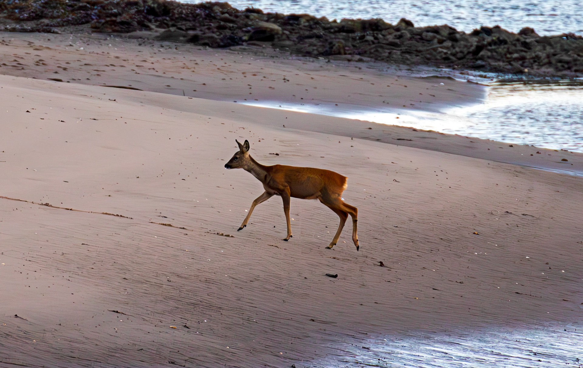 Irvine Sea Front 01 October 2024