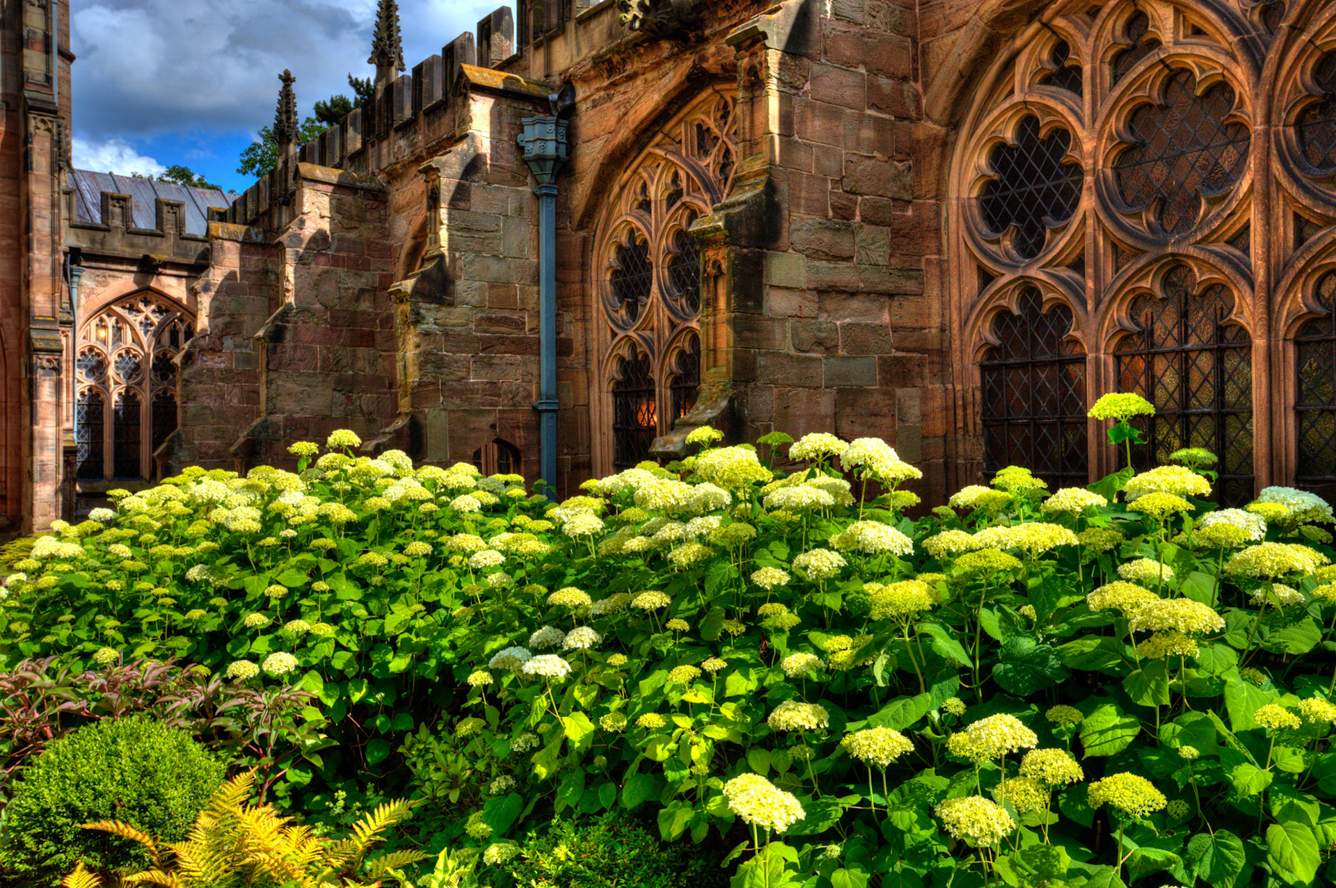 Hereford 19 June 2023