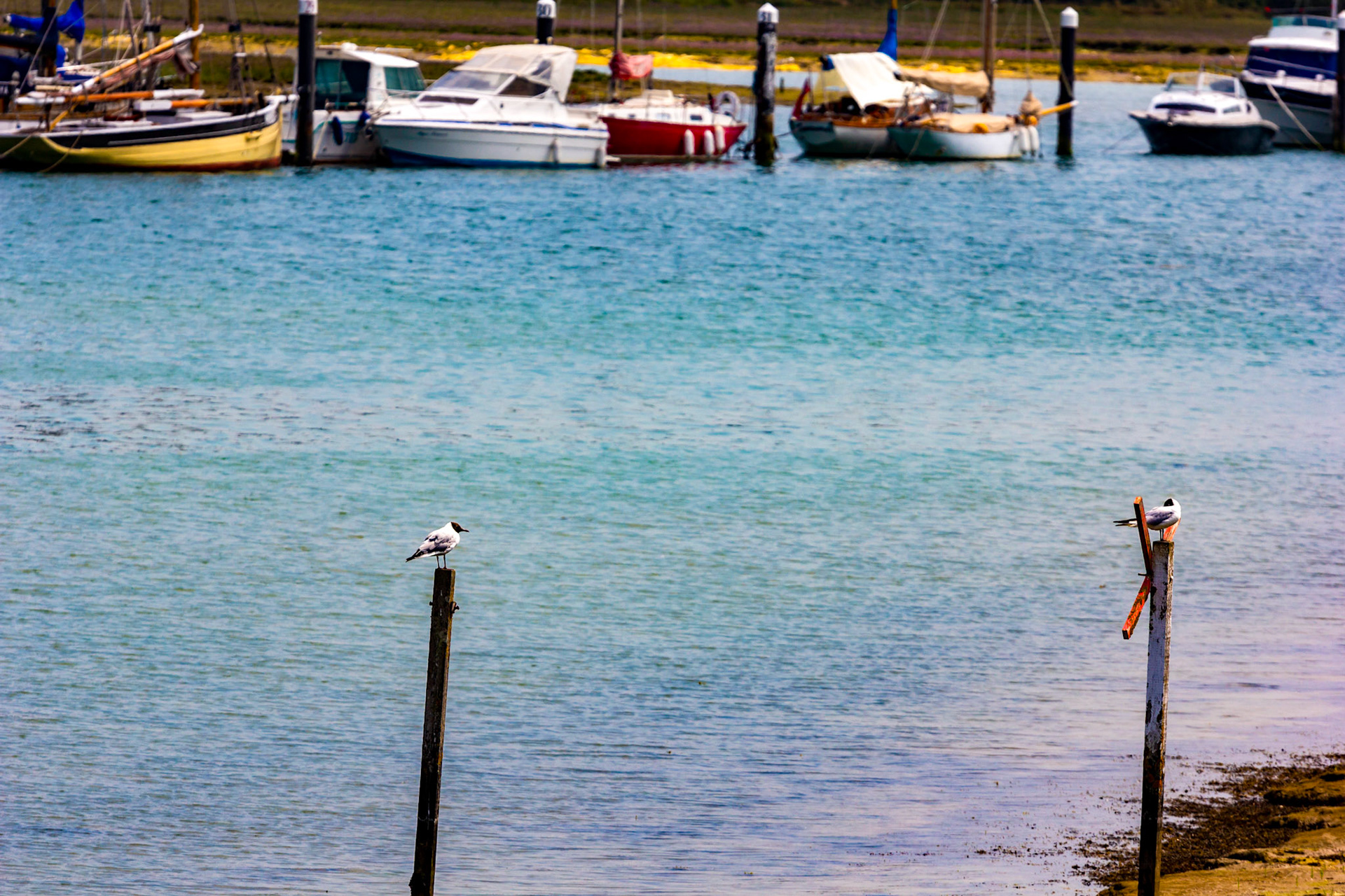 Yarmouth IOW 19  July 2022