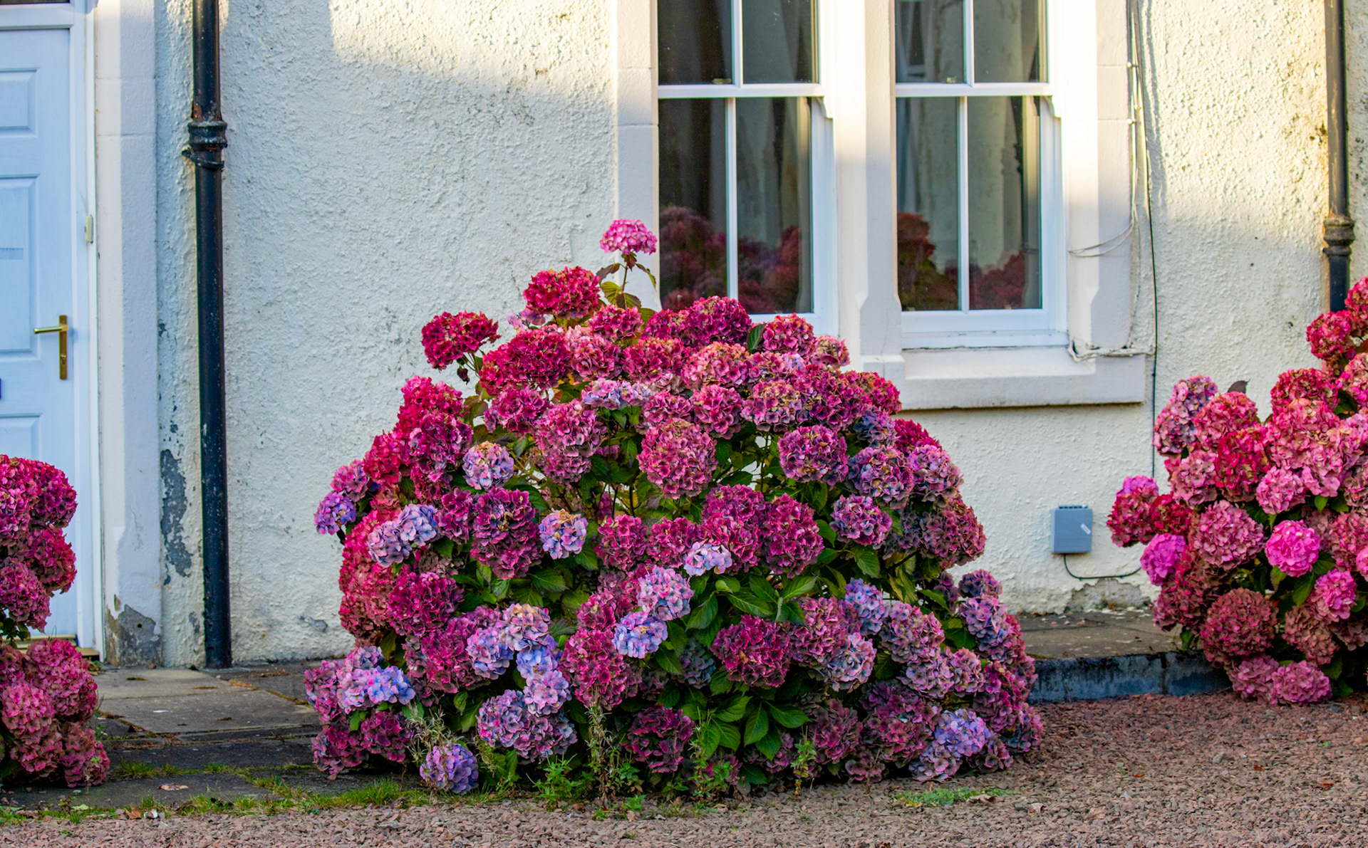 Polkemmet Country Park 10 October 2024