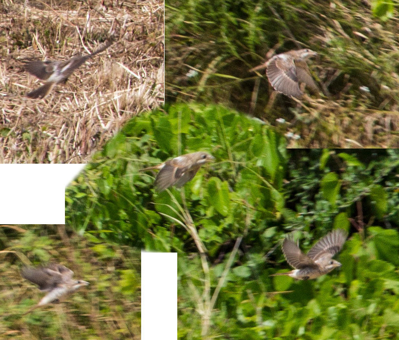 AlcudiaPlease see my other Photographs at: www.jamespdeans.co.uk