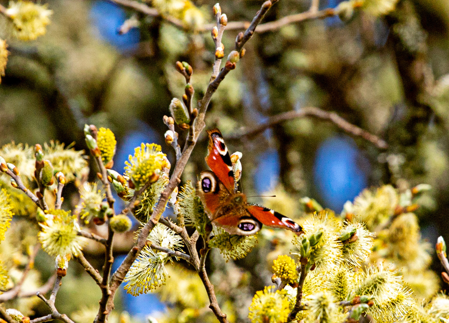 Loch Shin 04 May 2024