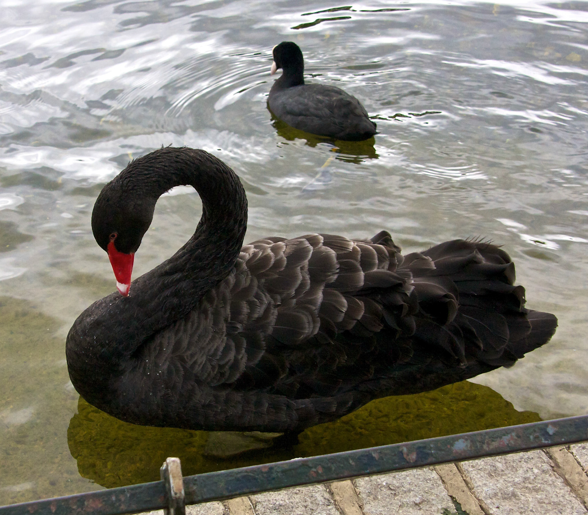 LondonPlease see my other Photographs at: http://www.jamespdeans.co.uk/