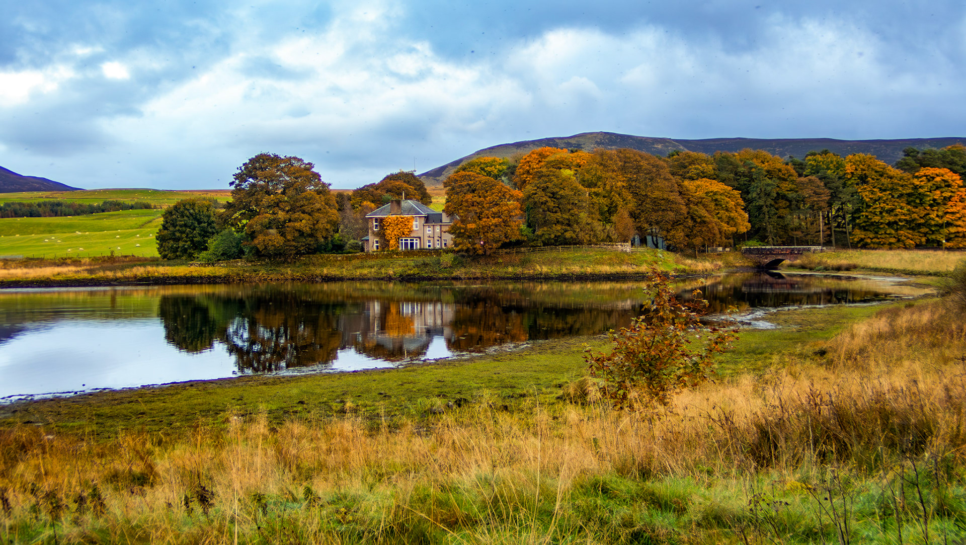 Harperrig 07 October 2024