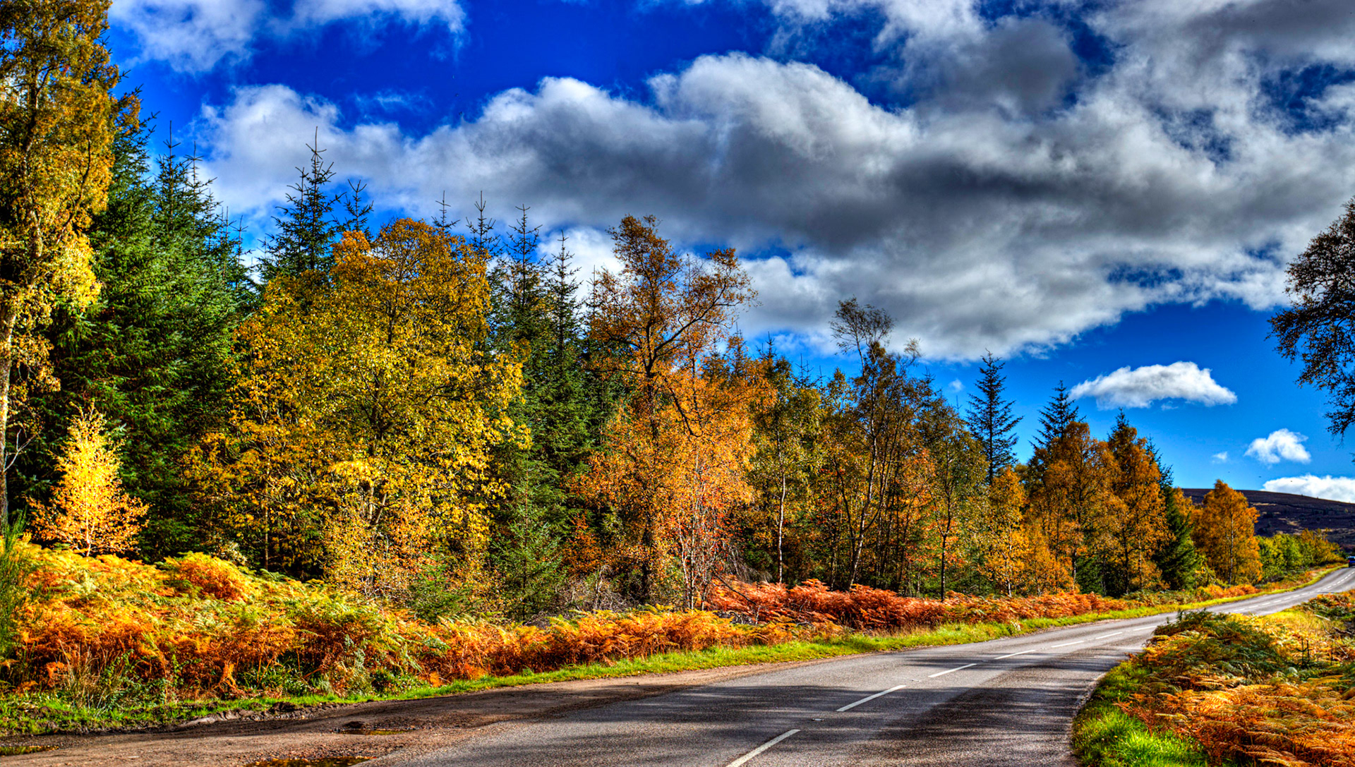 Autumn in Aberdeenshire 14 to 16 October 2022