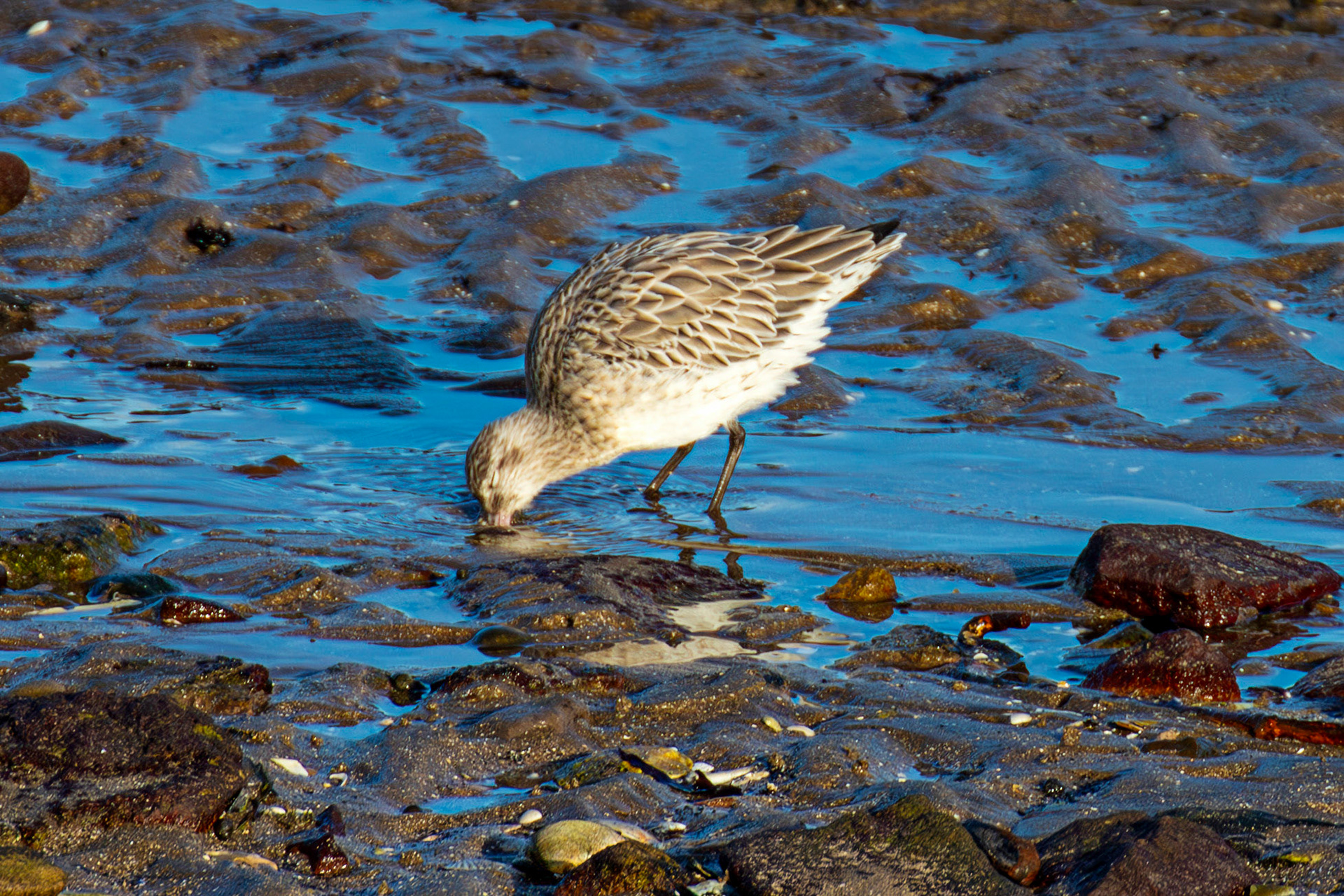 Port Seton 18 November 2024