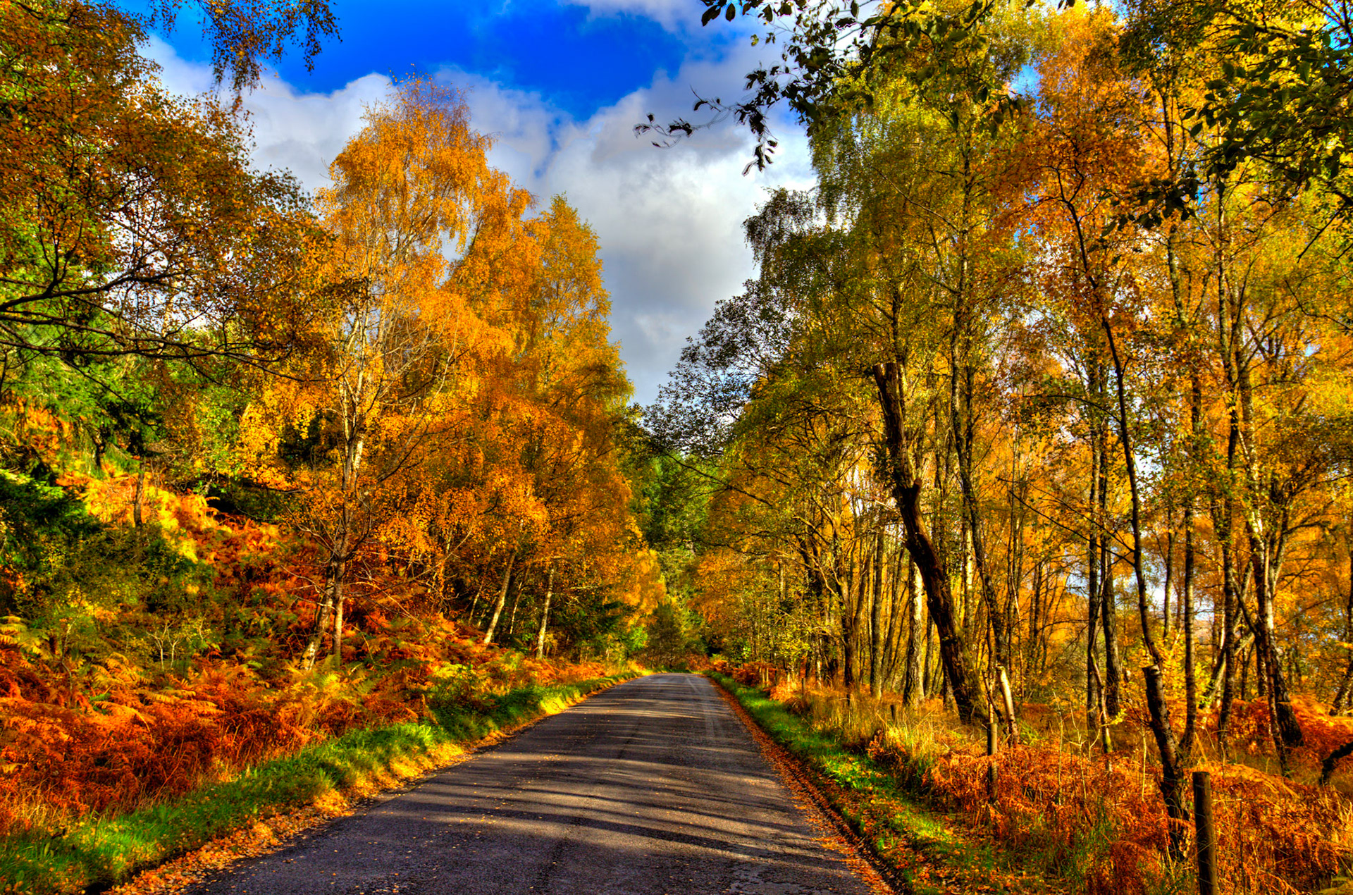 Loch Tummel. Autumnal Tour around Perthshire 19 October 2024