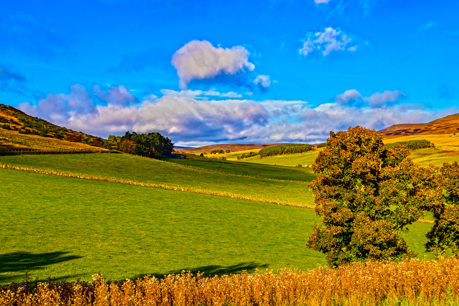 Autumn in Aberdeenshire 14 to 16 October 2022