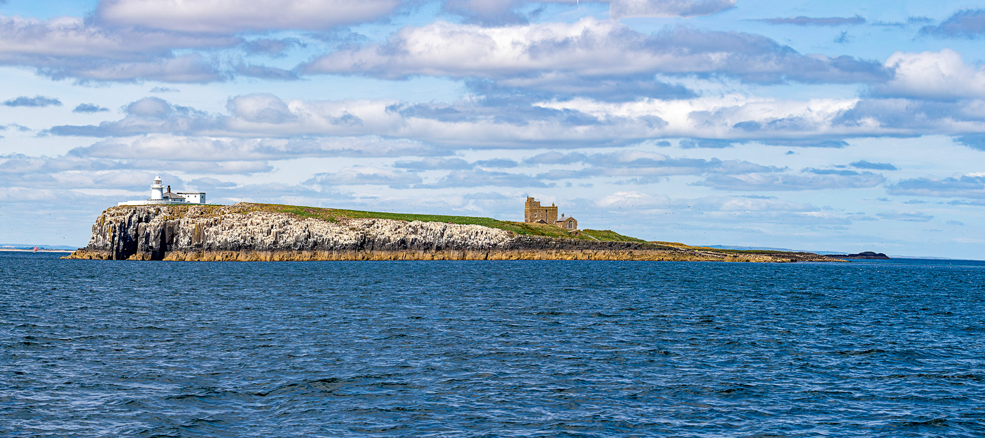 Farne Lighthouse - Farne Islands 03 July 2026