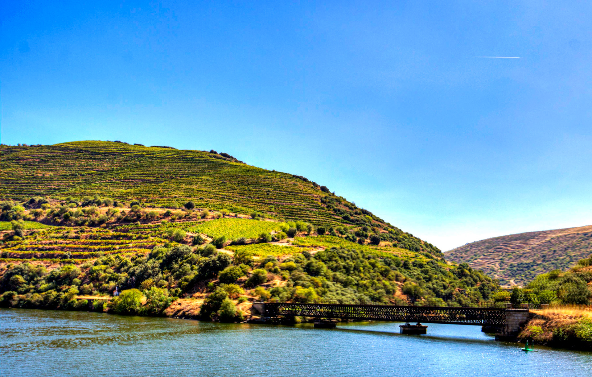 Douro cruise 22 August 2026
