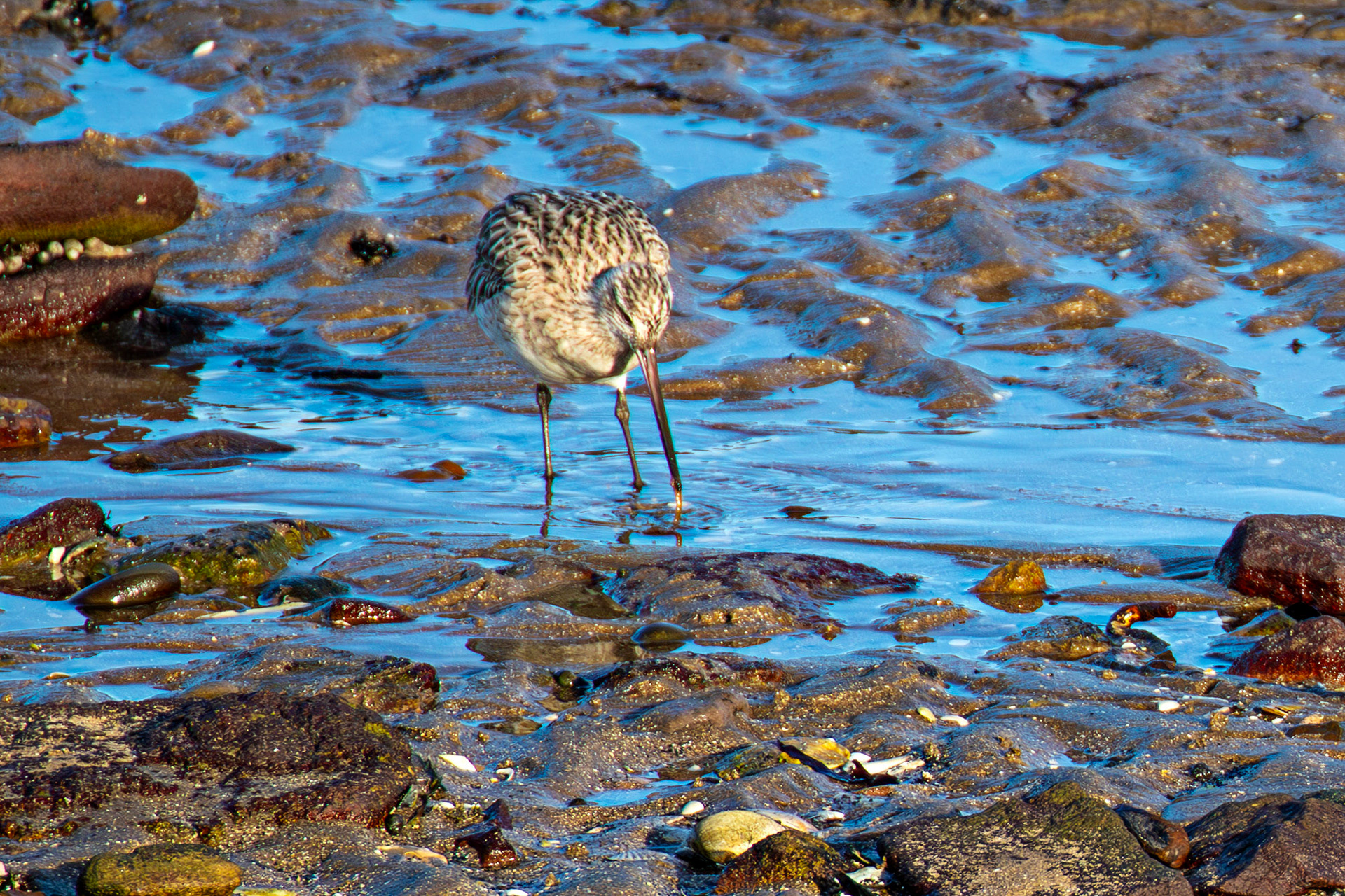 Port Seton 18 November 2024