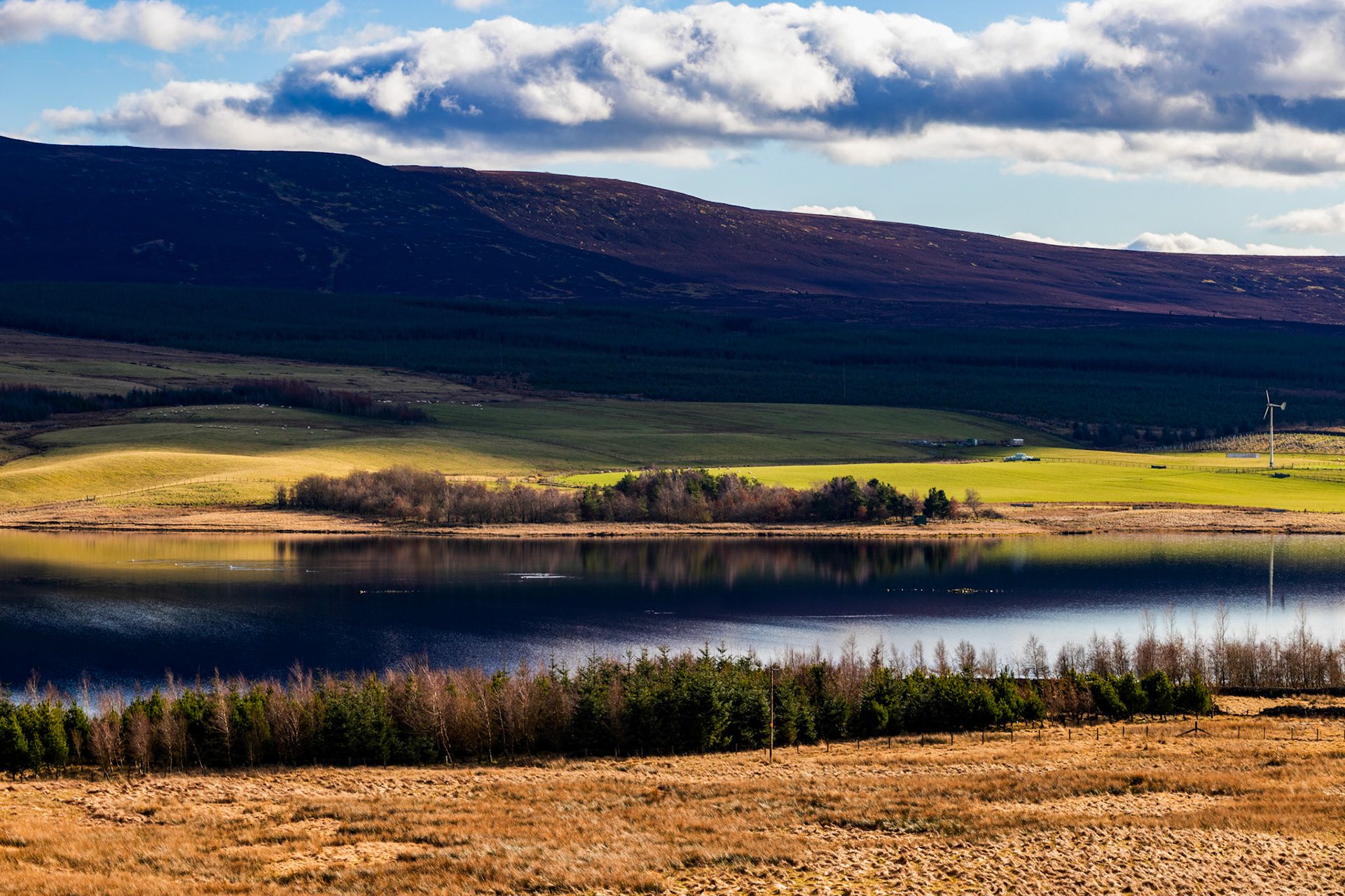 Harperrig Reservoir 26 Feb 2024