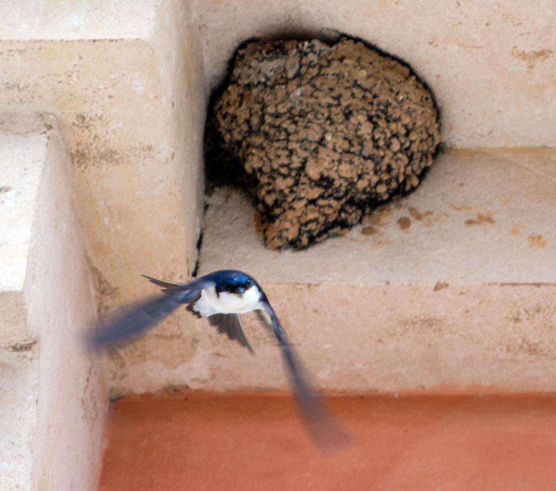 AlcudiaPlease see my other Photographs at: www.jamespdeans.co.uk