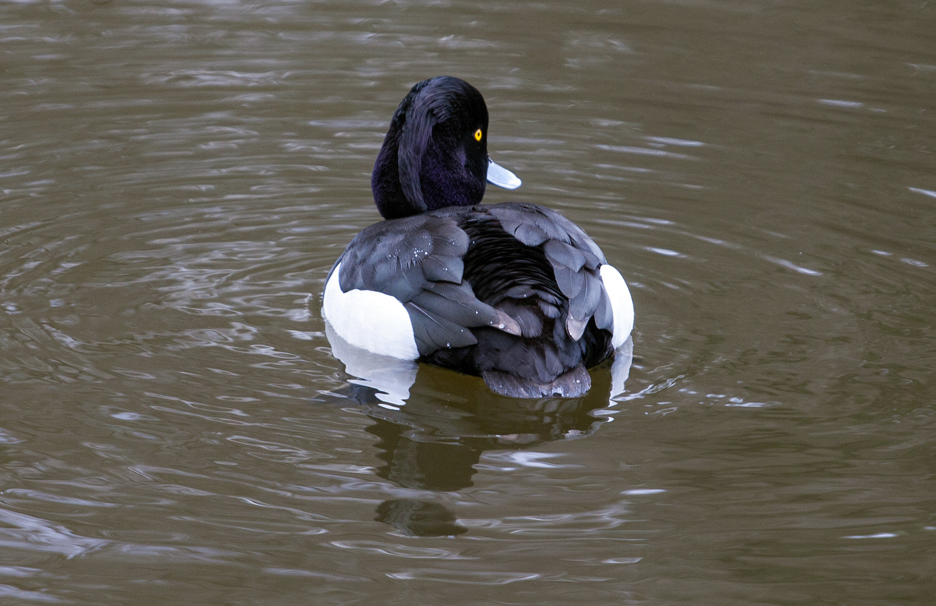 Callendar ParkPlease see my other Photographs at: http://www.jamespdeans.co.uk/
