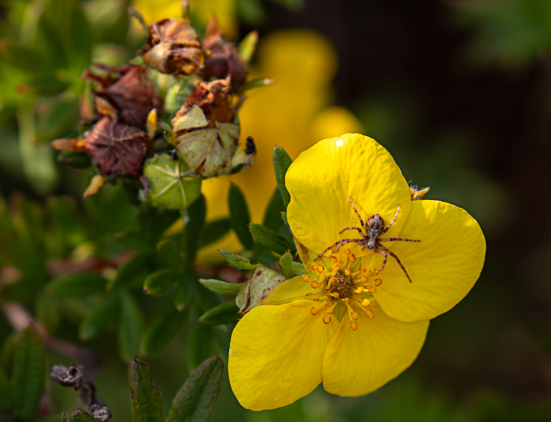 Slough 05 August 2025