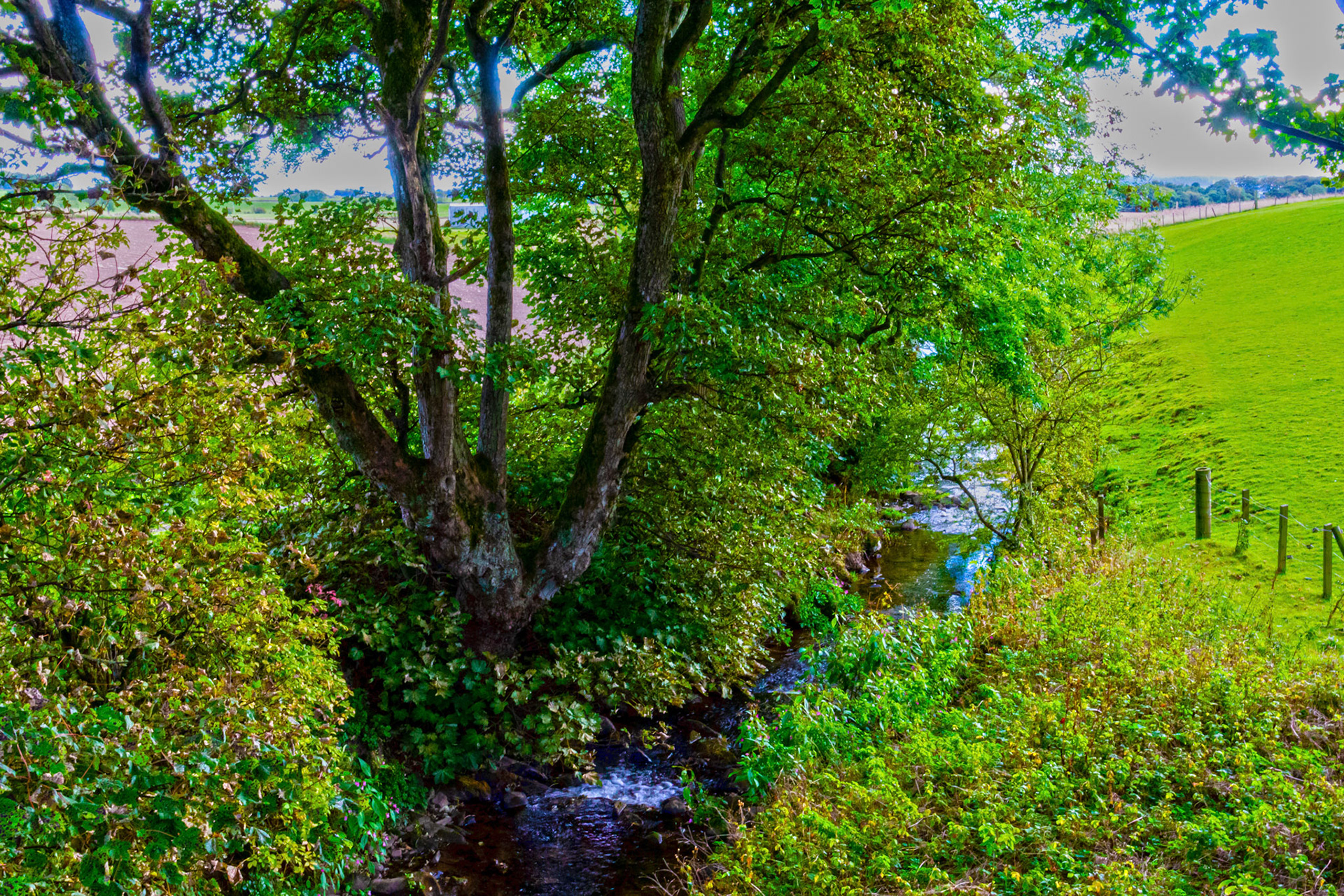 Murroes, Angus 27 Sept 2022