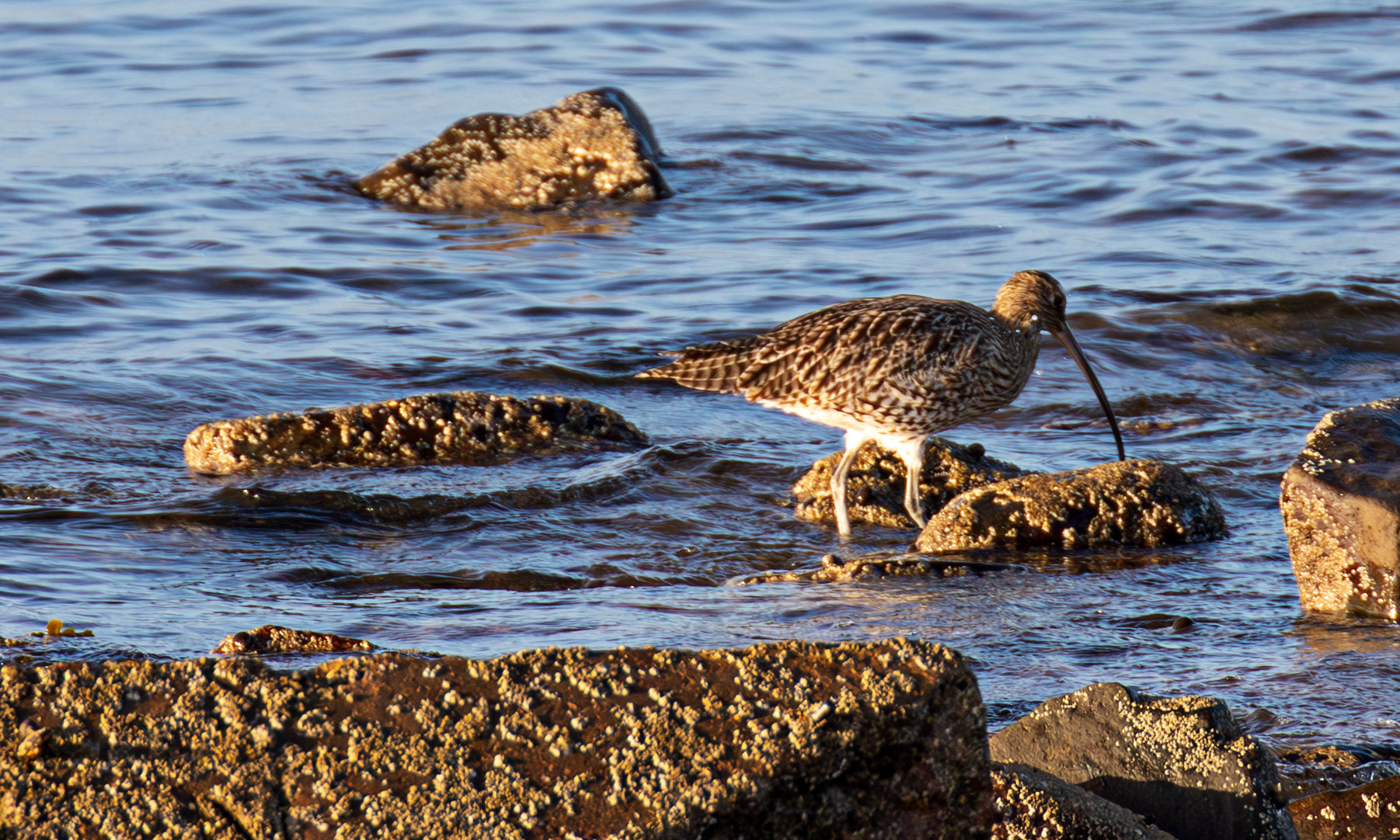 Irvine Sea Front 01 October 2024
