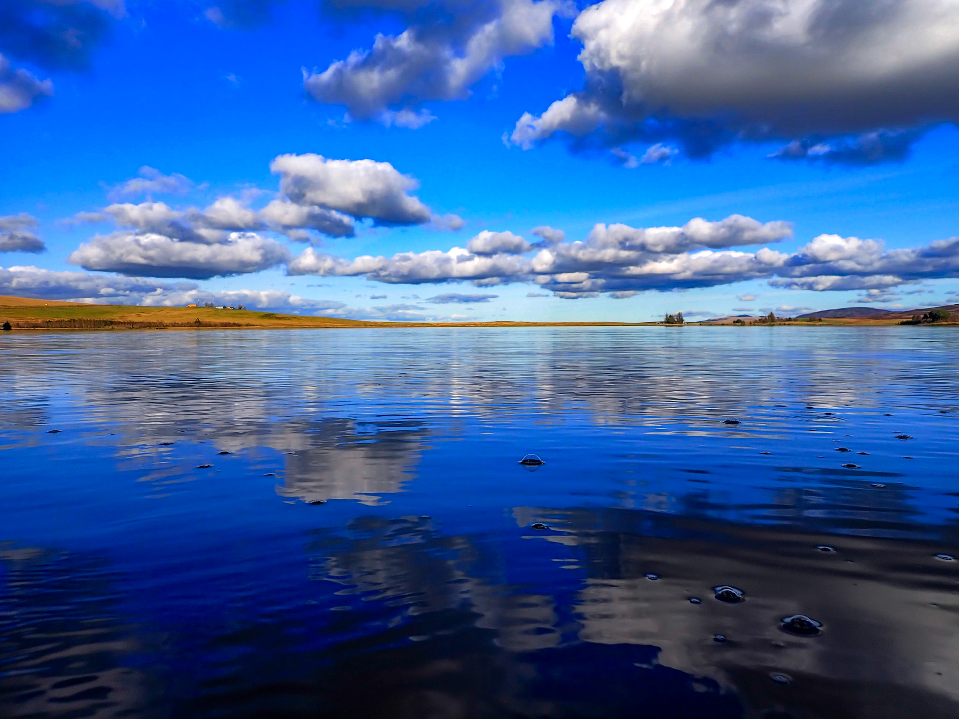 Harperrig Reservoir 26 Feb 2024