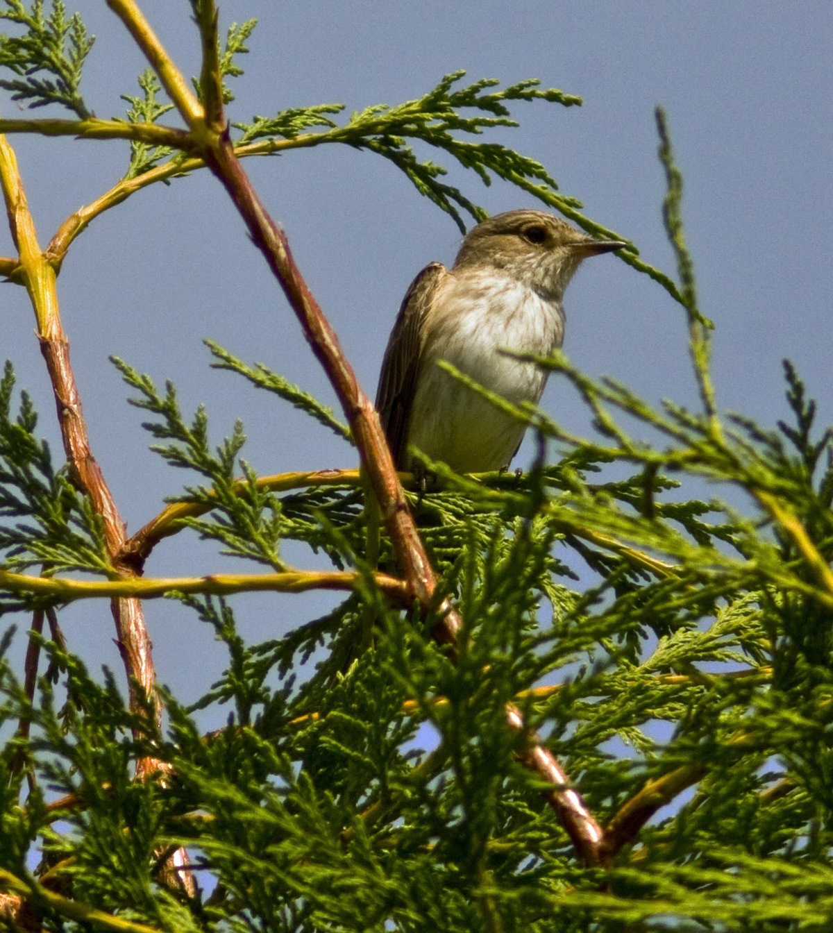 GlendevonPlease see my other Photographs at: http://www.jamespdeans.co.uk/