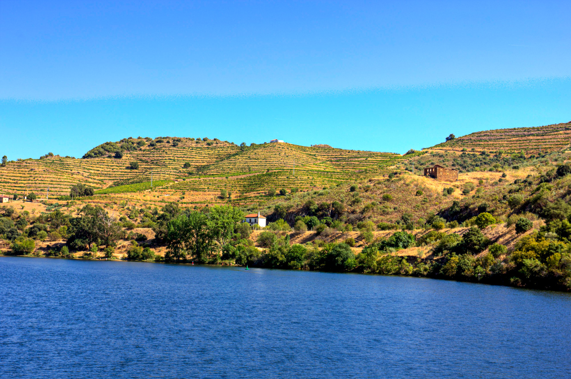 Douro cruise 22 August 2026